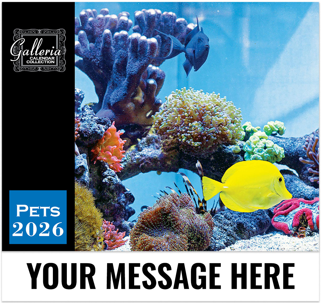 Pets Wall Calendar