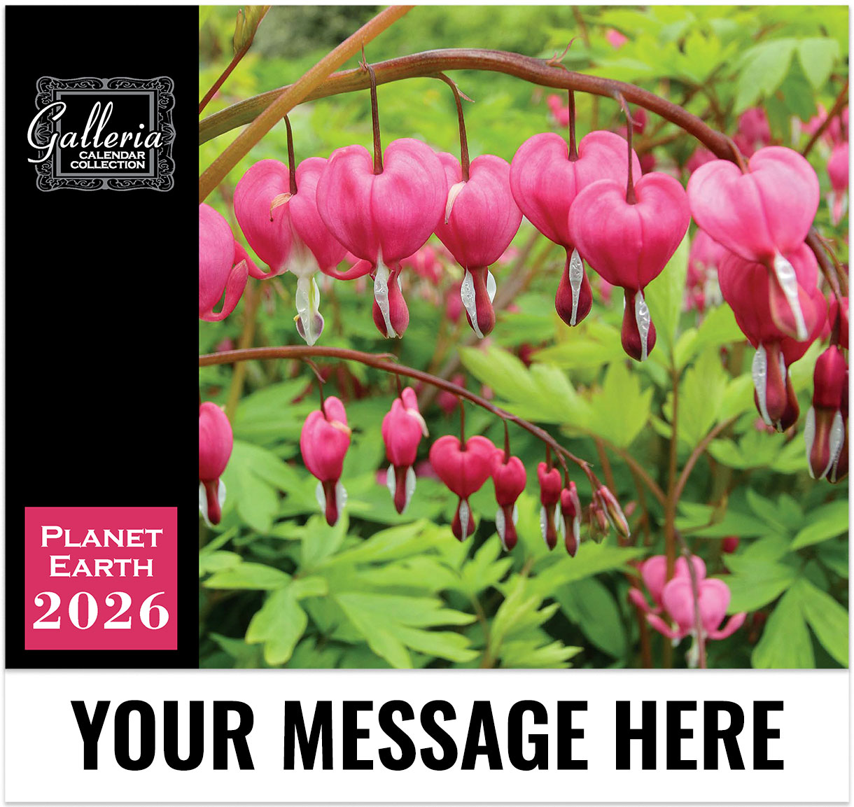 Planet Earth Wall Calendar