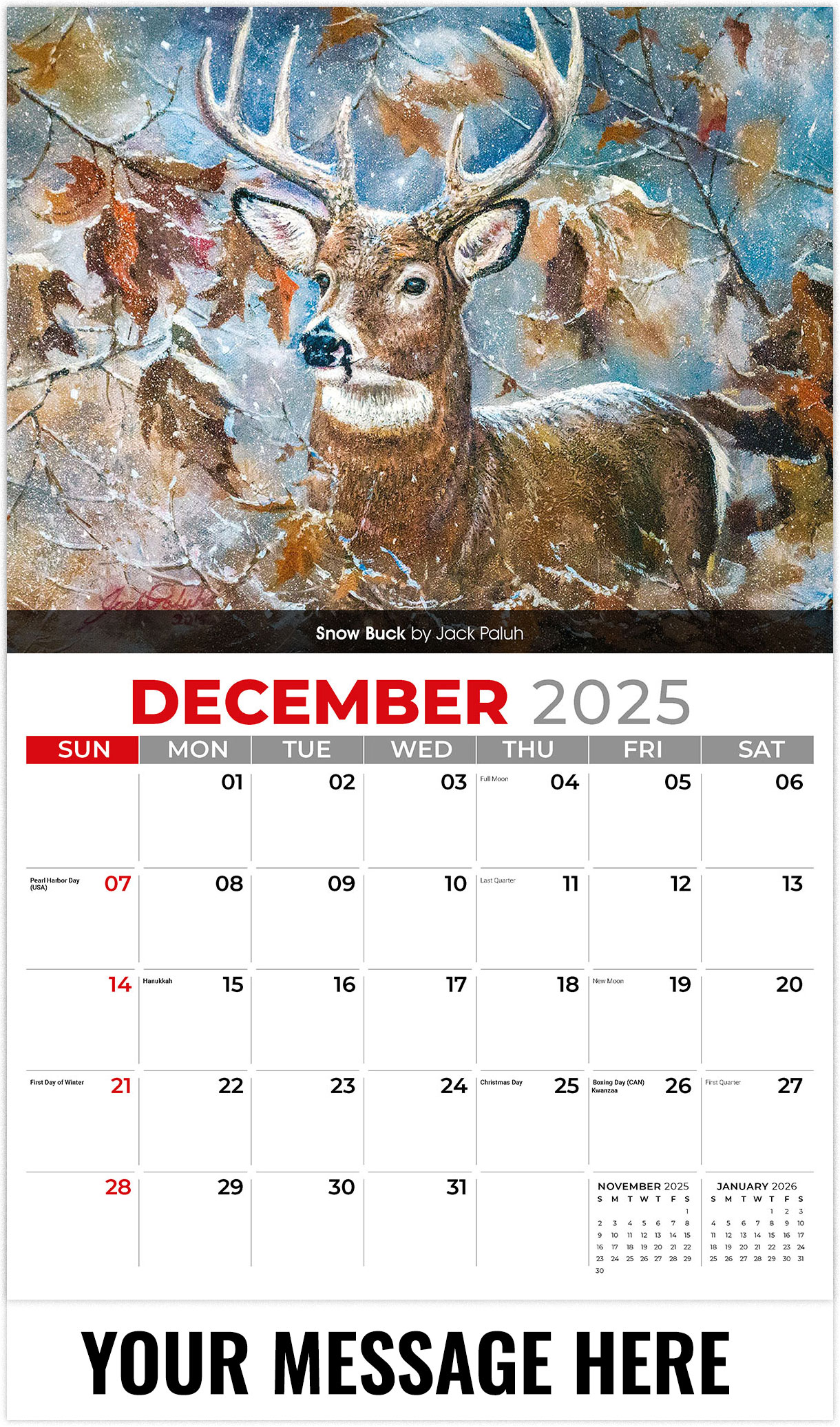 Galleria Wildlife Portraits - 2026