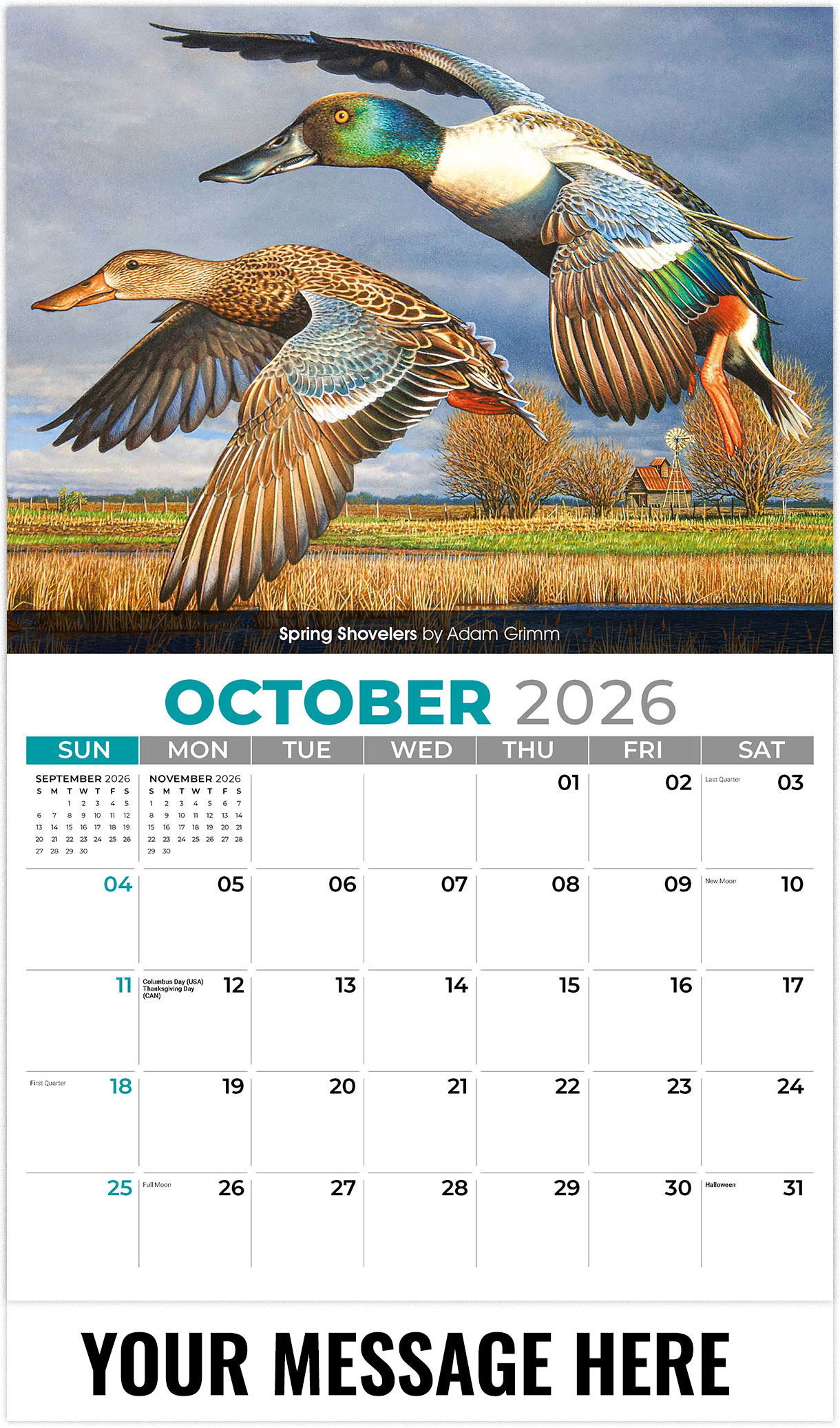 Galleria Wildlife Portraits - 2026