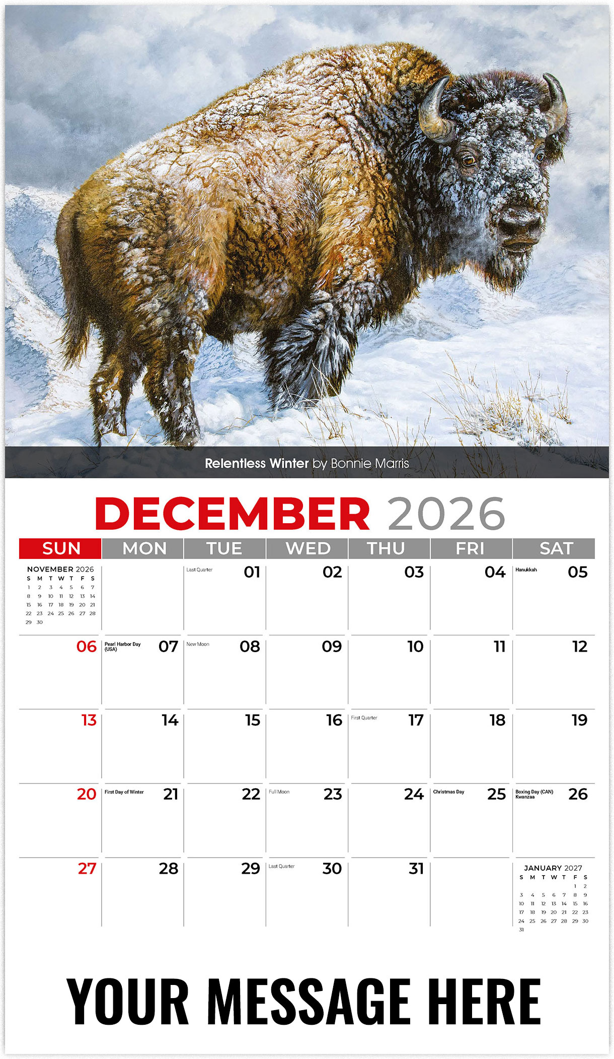 Galleria Wildlife Portraits - 2026