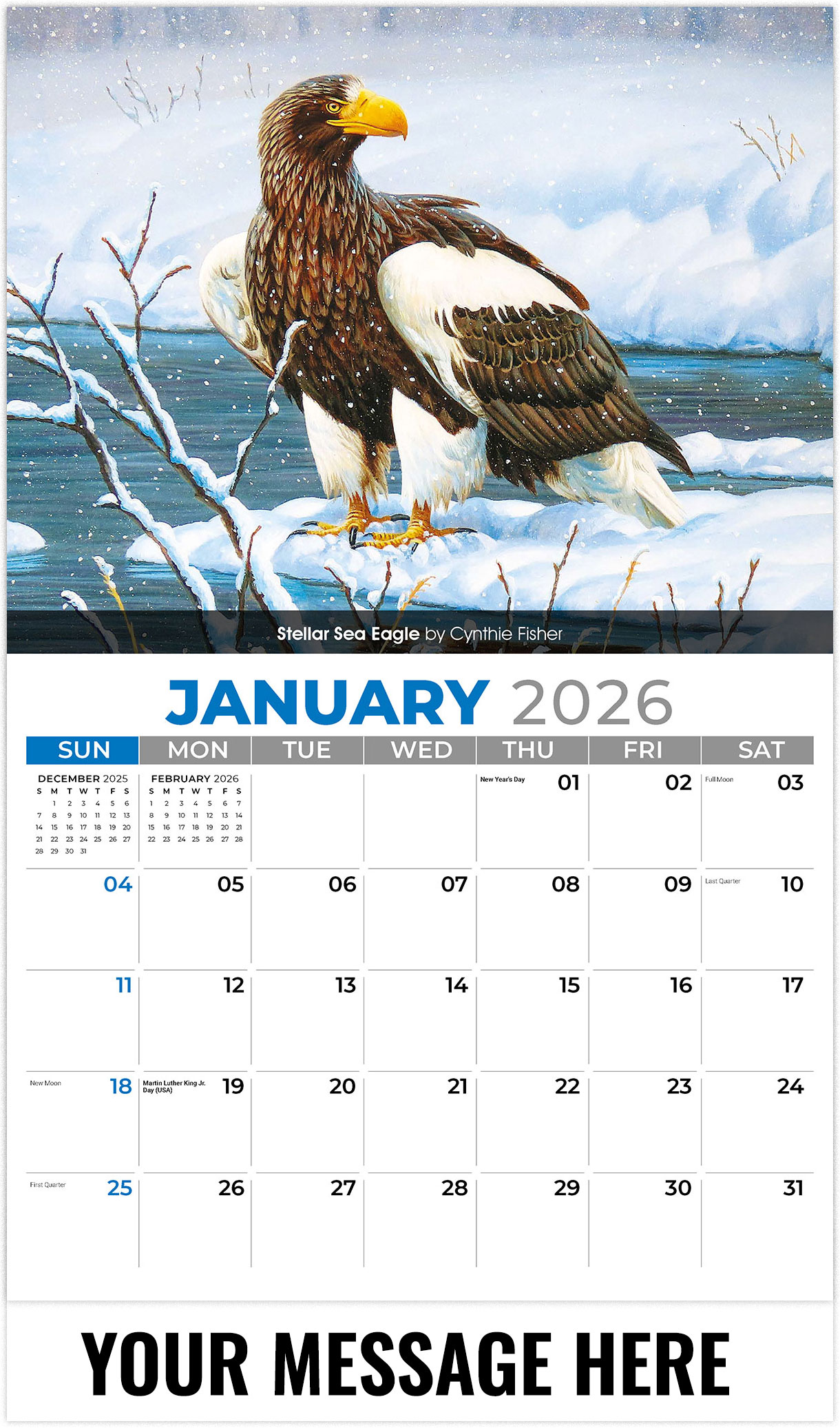 Galleria Wildlife Portraits - 2026