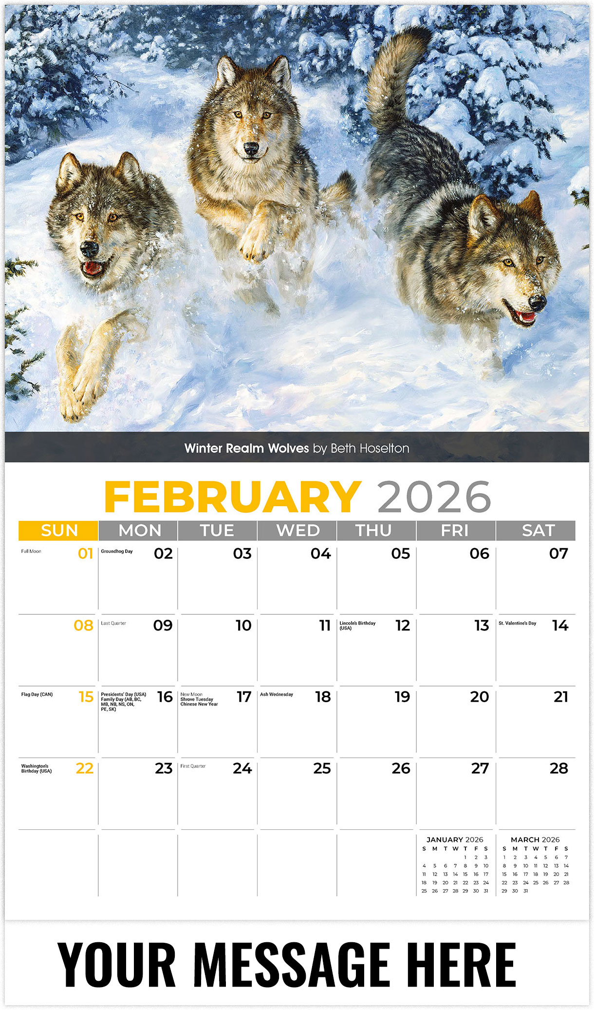 Galleria Wildlife Portraits - 2026