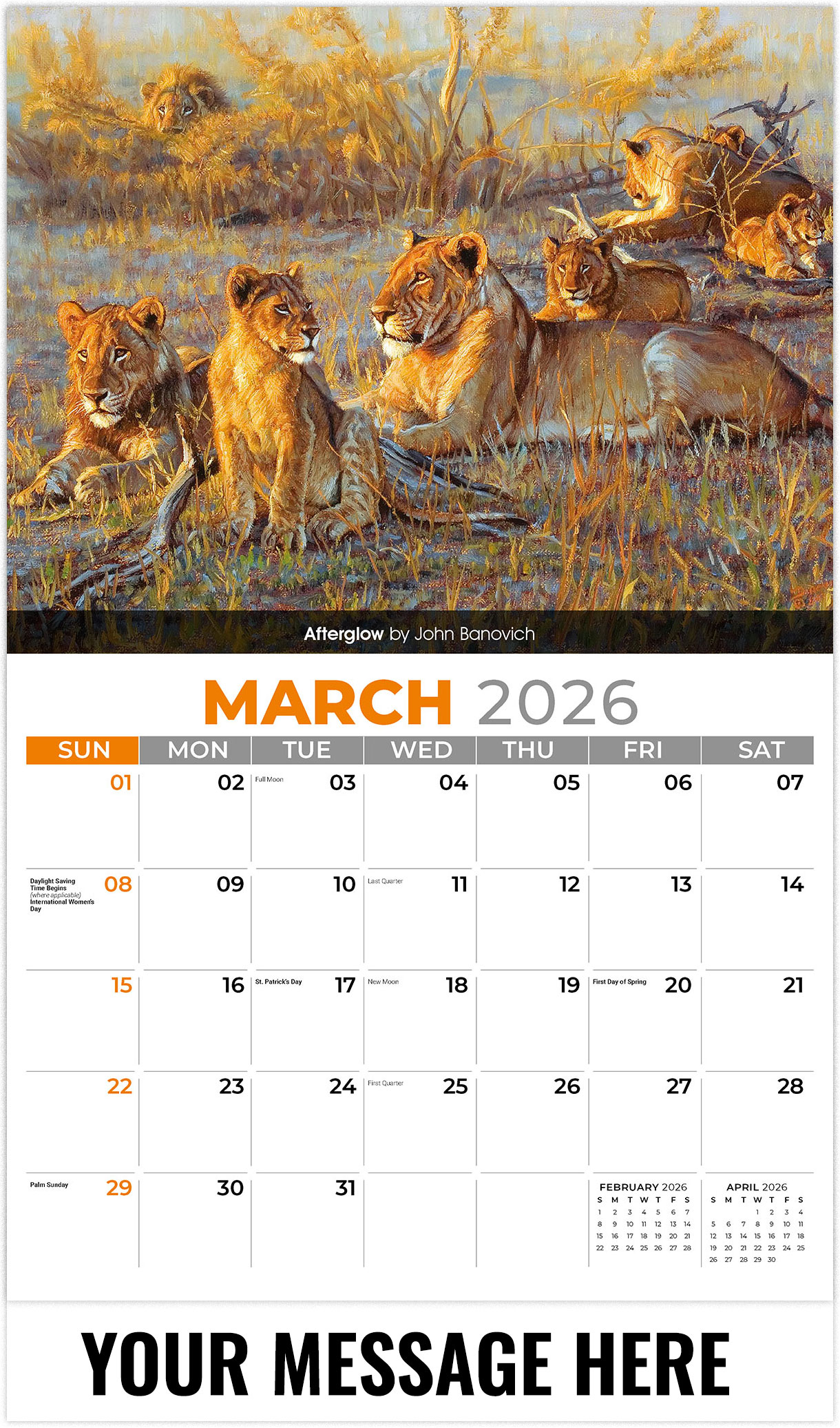 Galleria Wildlife Portraits - 2026