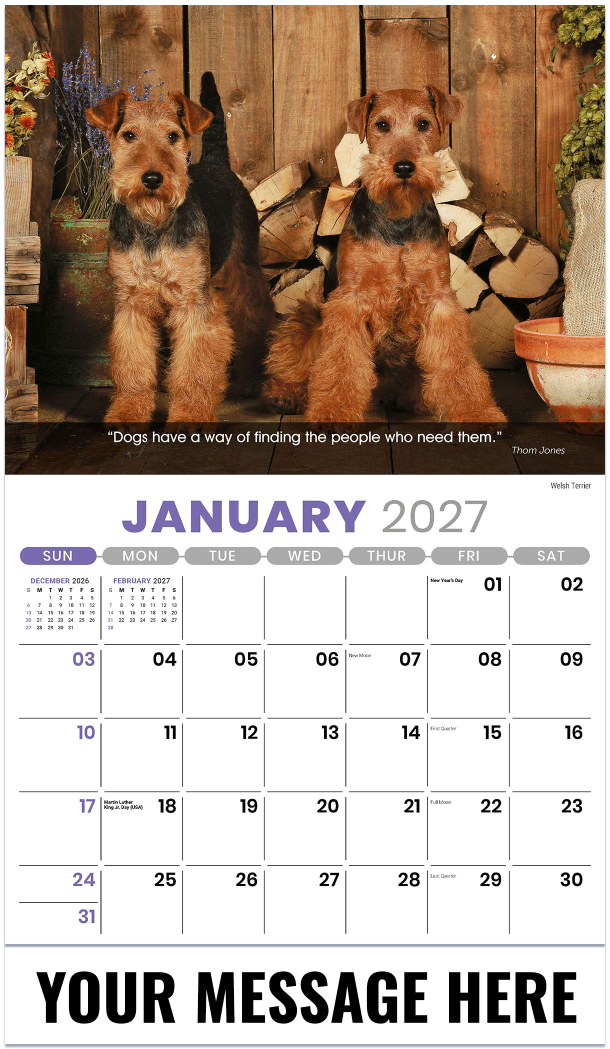 Galleria Dogs - 2027