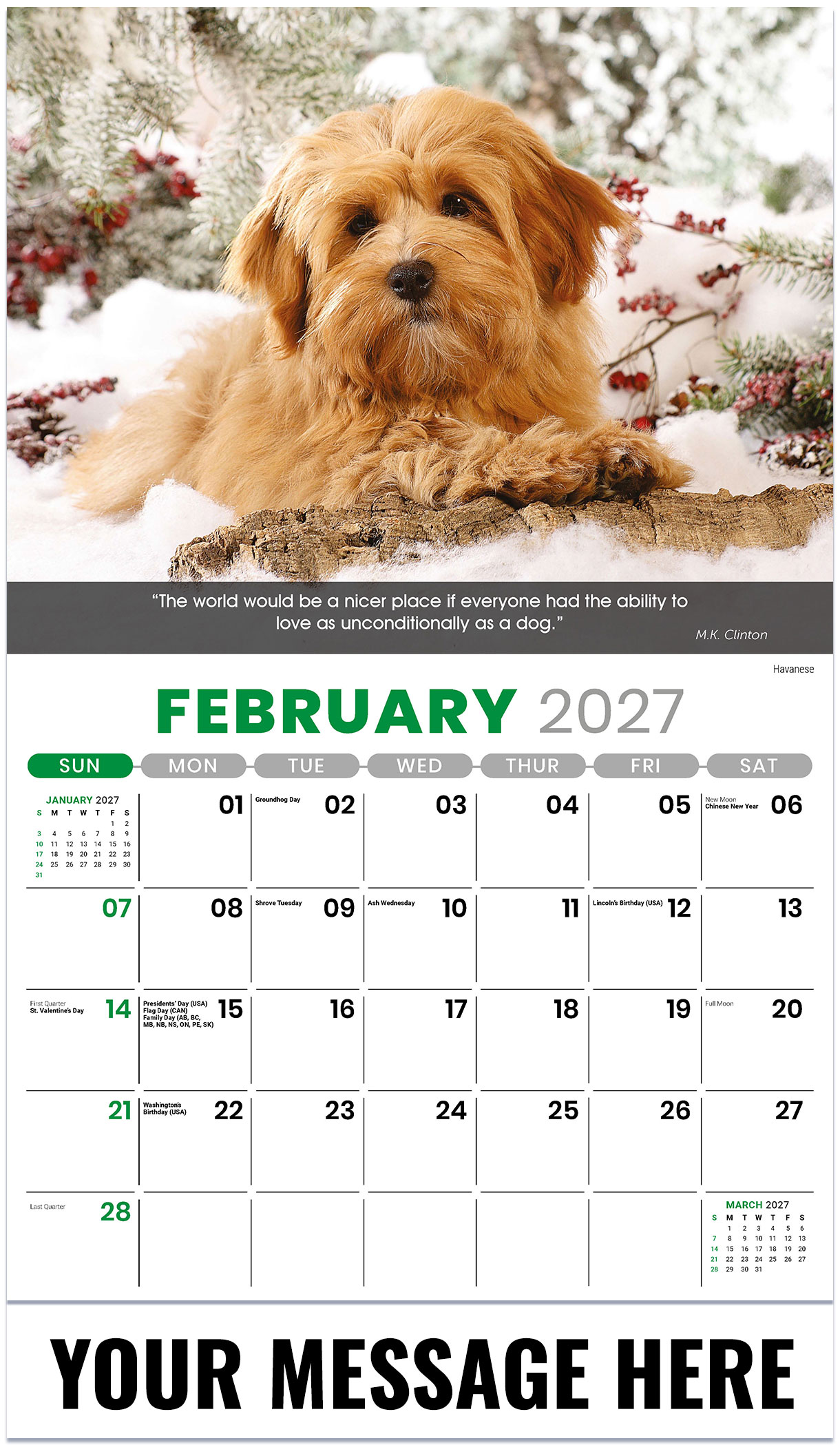 Galleria Dogs - 2027