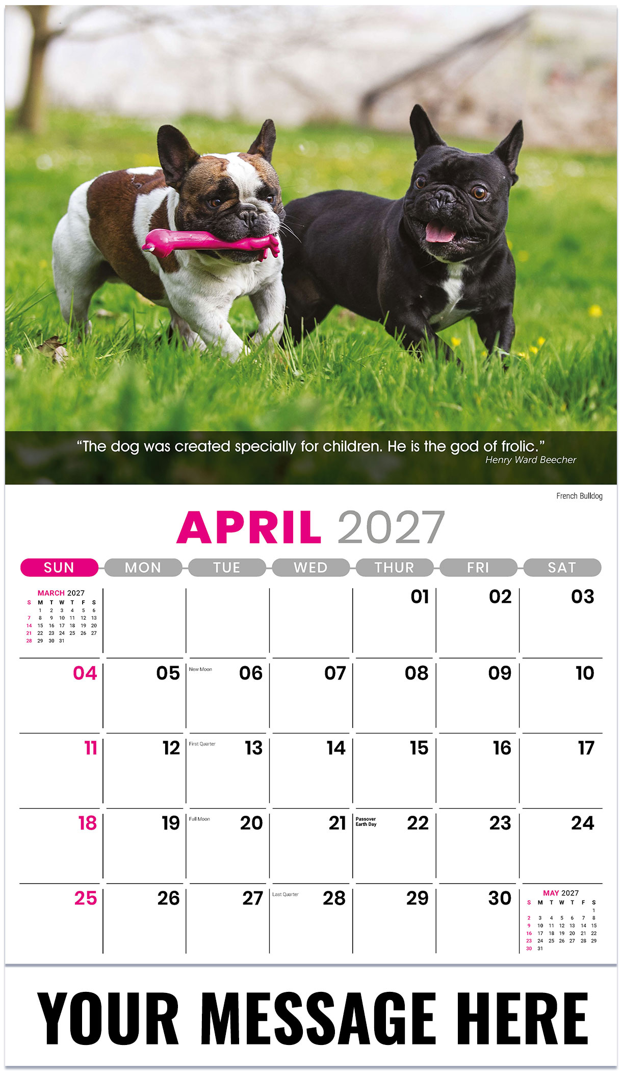Galleria Dogs - 2027