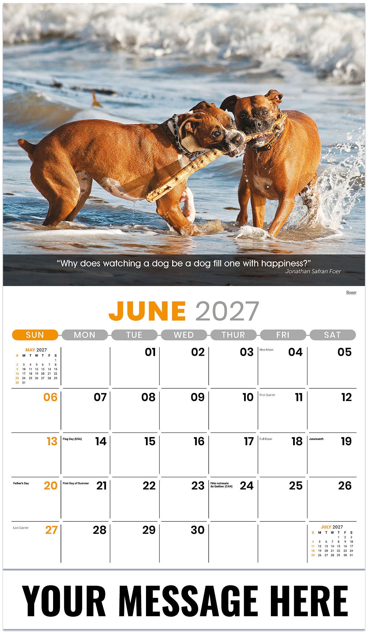 Galleria Dogs - 2027