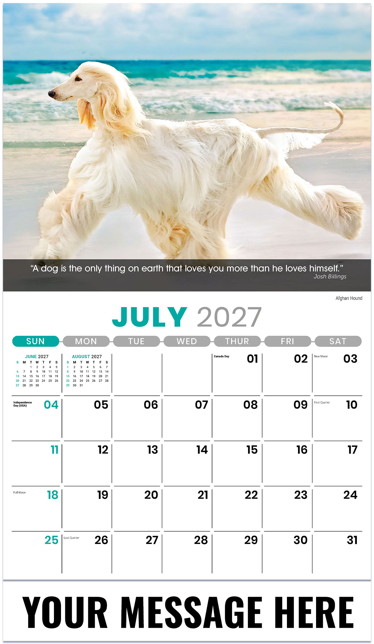 Galleria Dogs - 2027