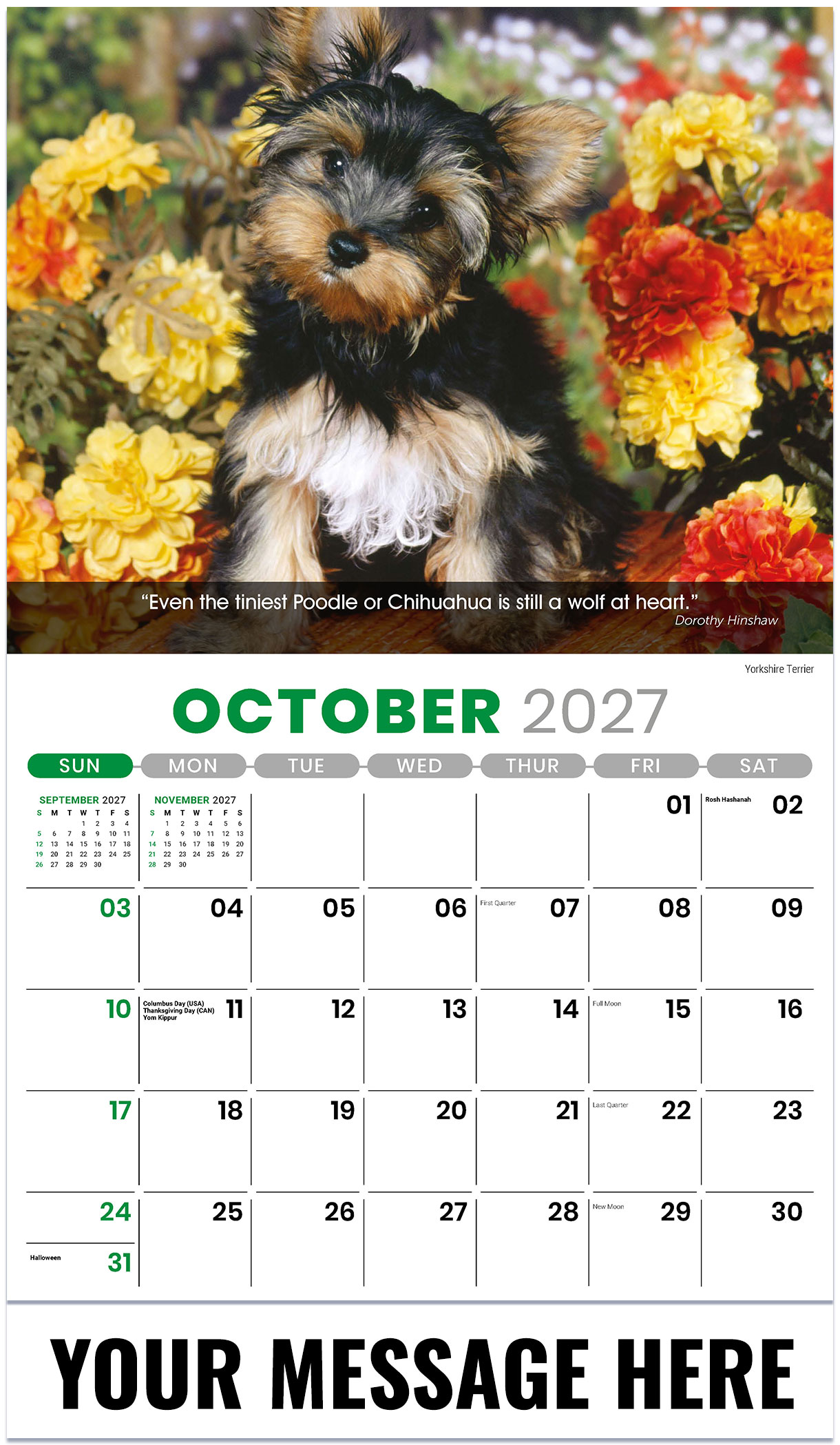 Galleria Dogs - 2027