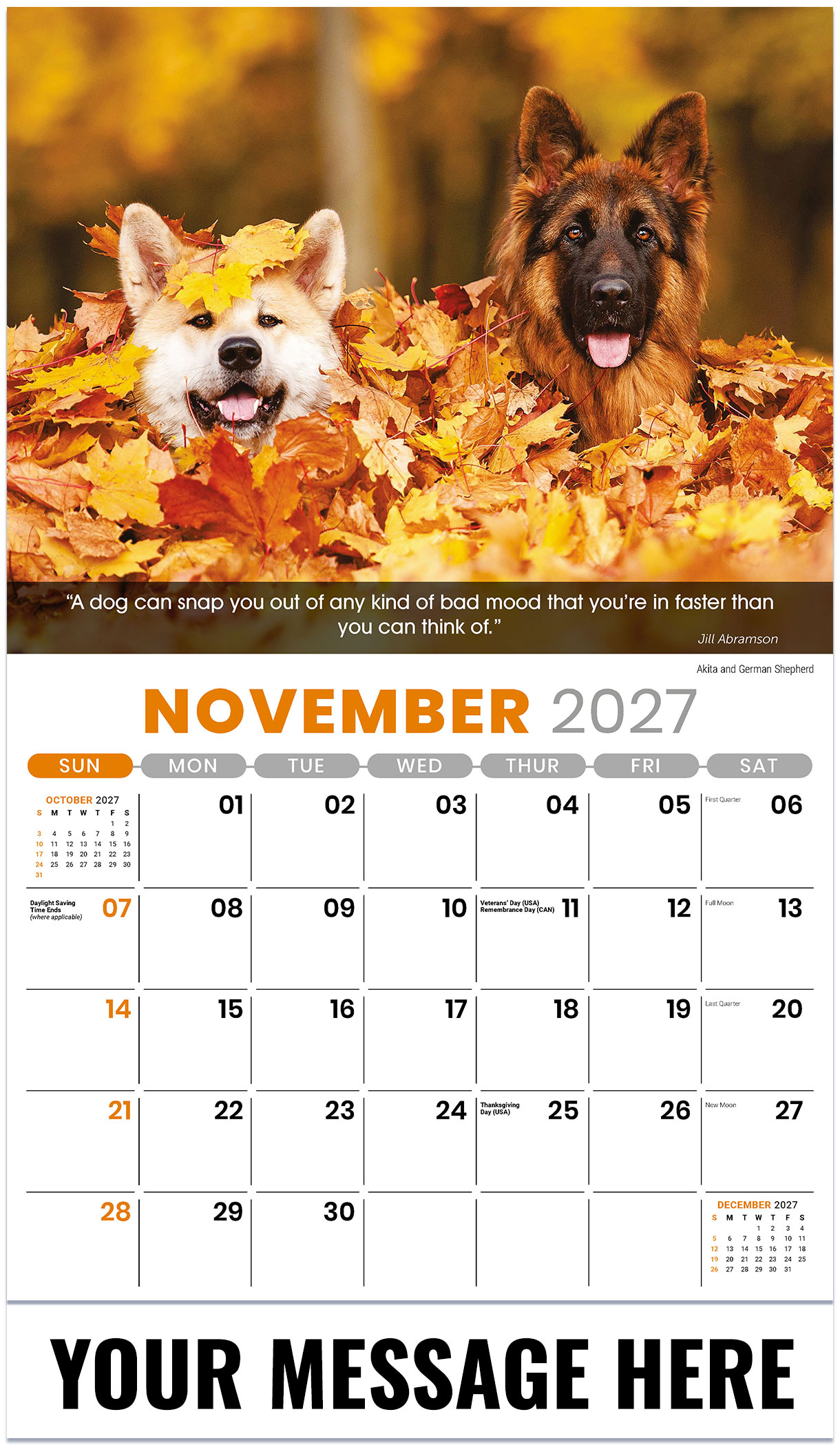 Galleria Dogs - 2027