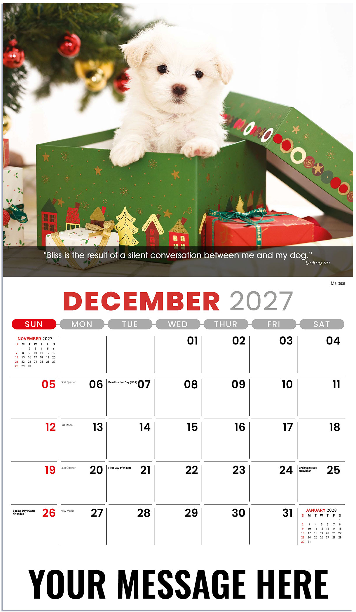 Galleria Dogs - 2027