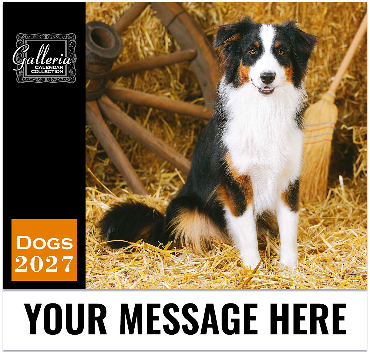 Dogs Wall Calendar