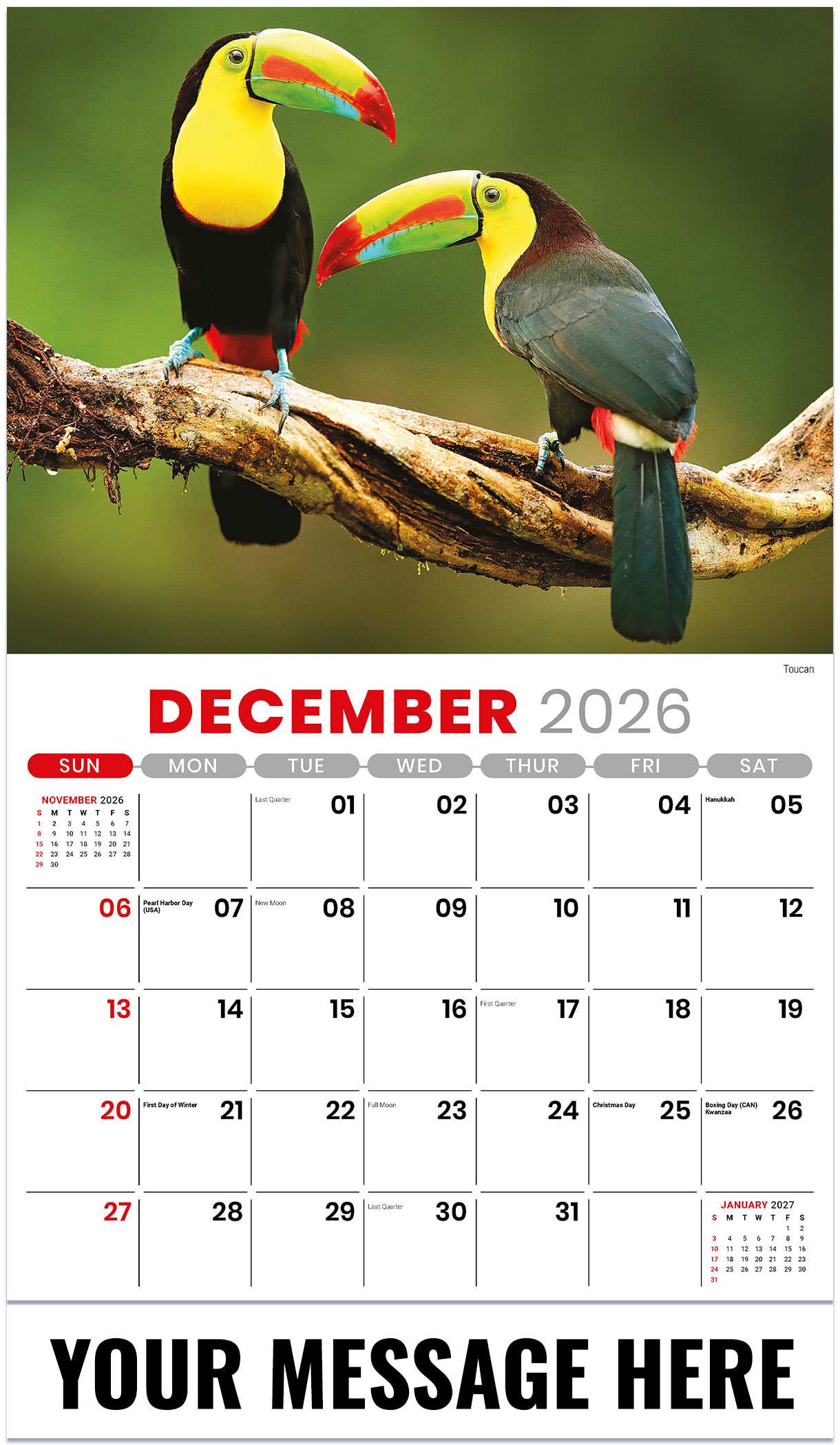 Galleria International Wildlife - 2027