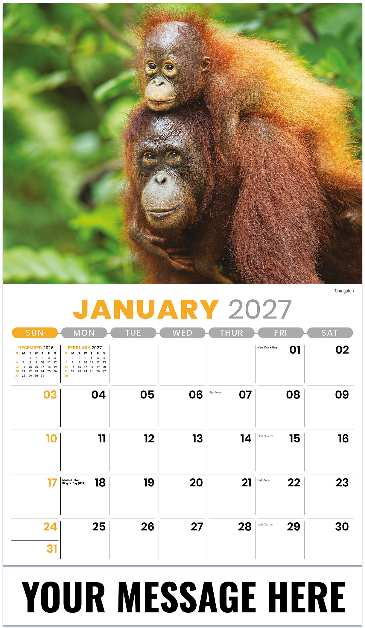 Galleria International Wildlife - 2027