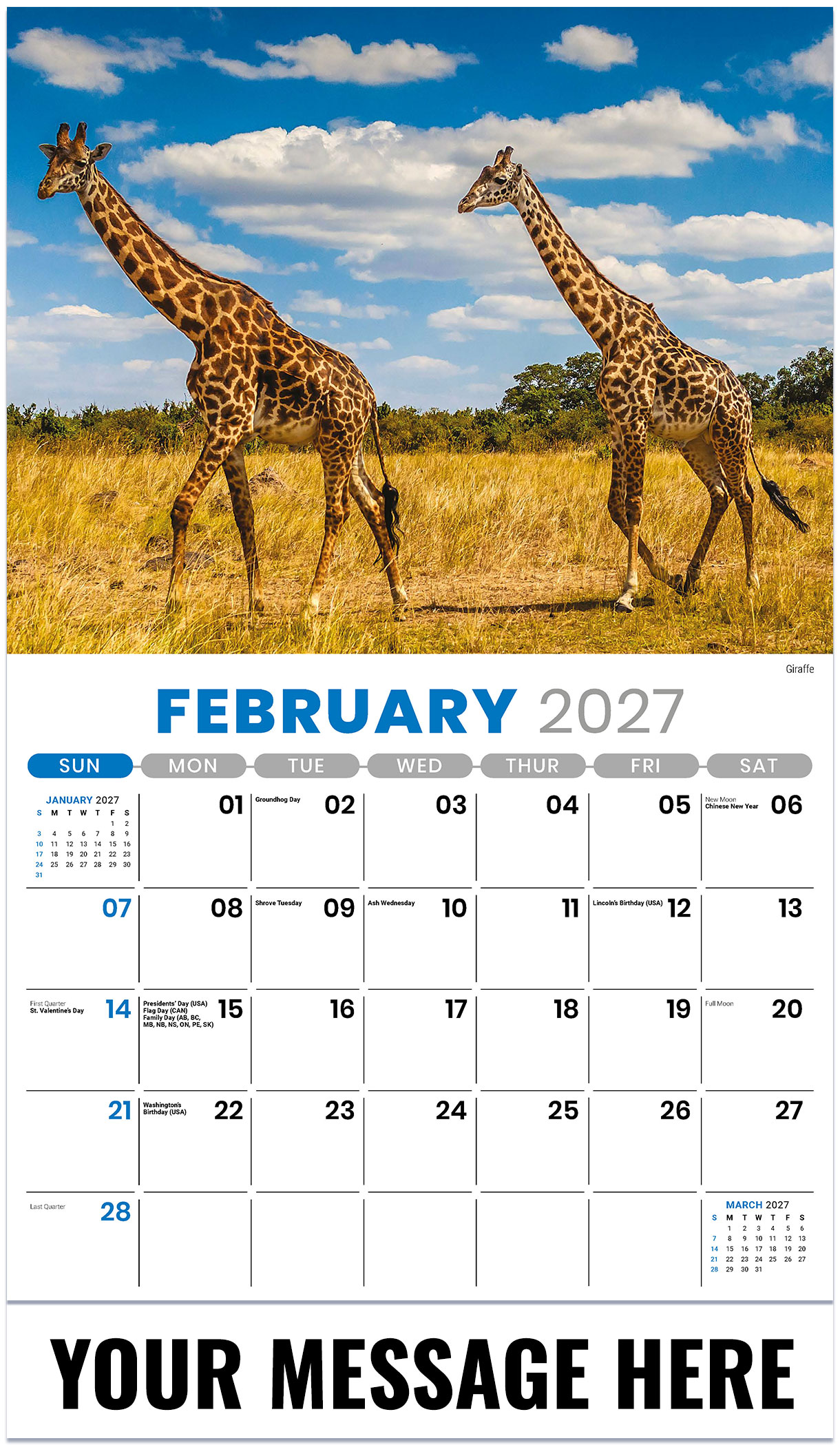 Galleria International Wildlife - 2027