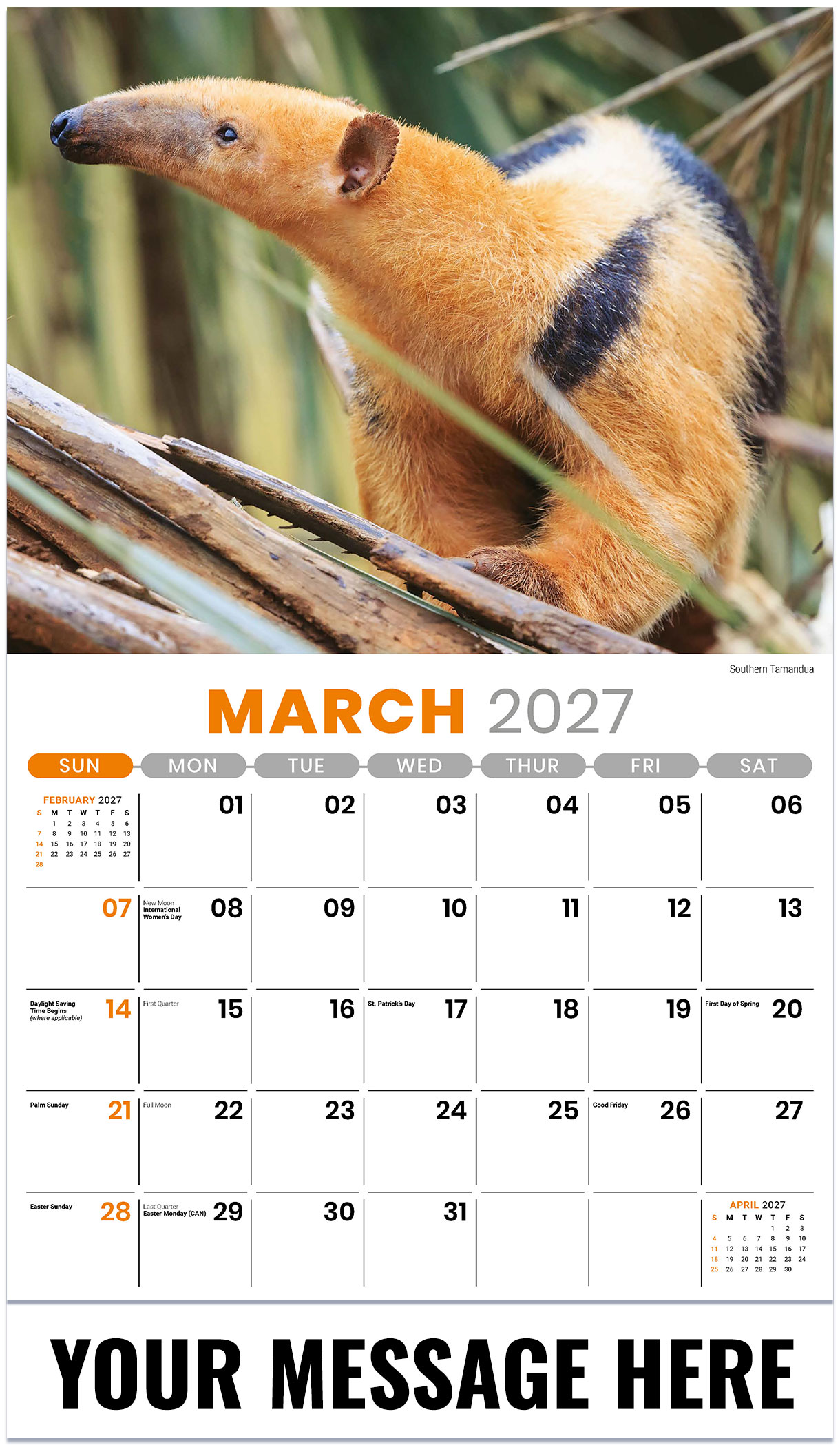 Galleria International Wildlife - 2027