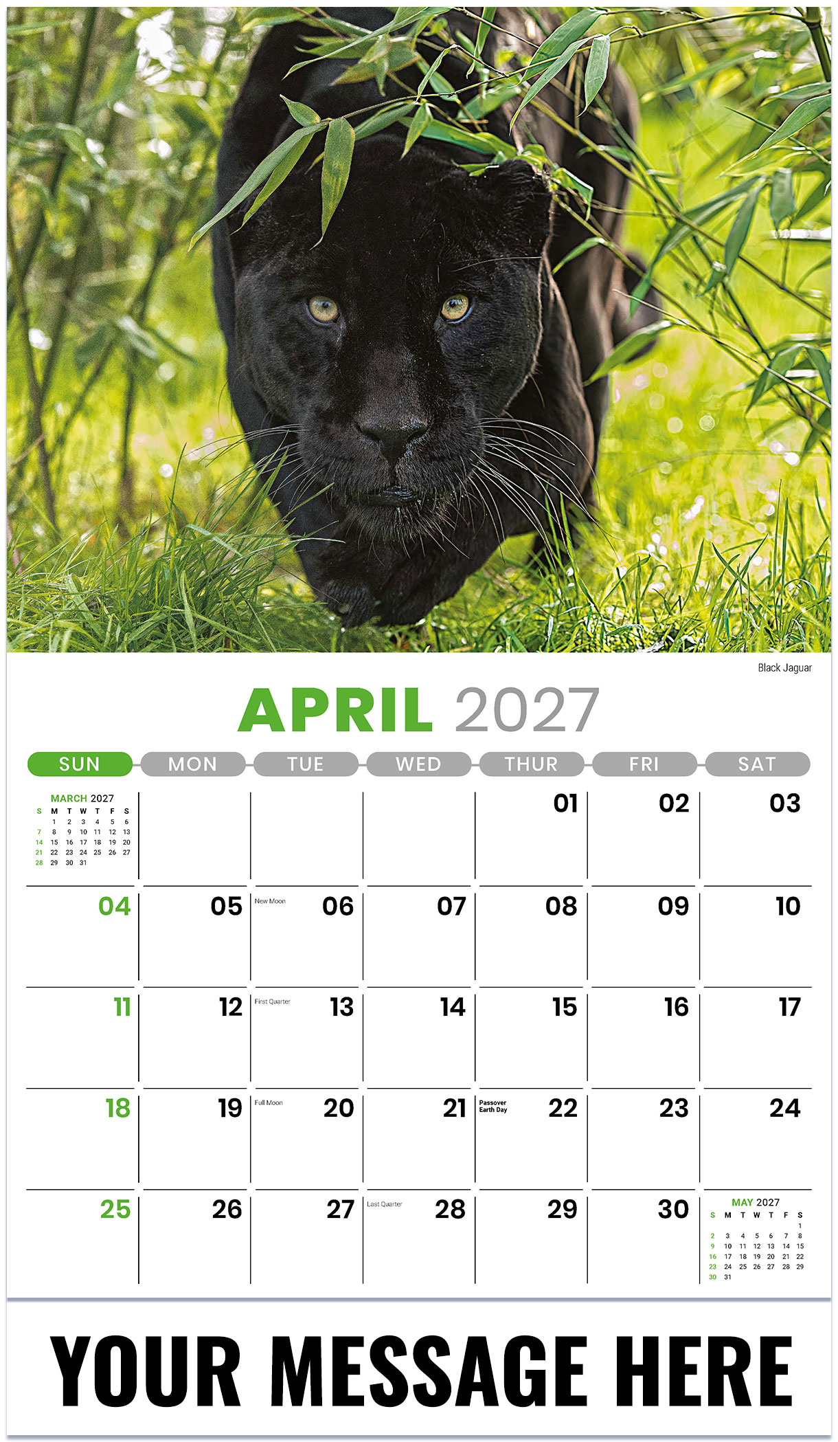 Galleria International Wildlife - 2027