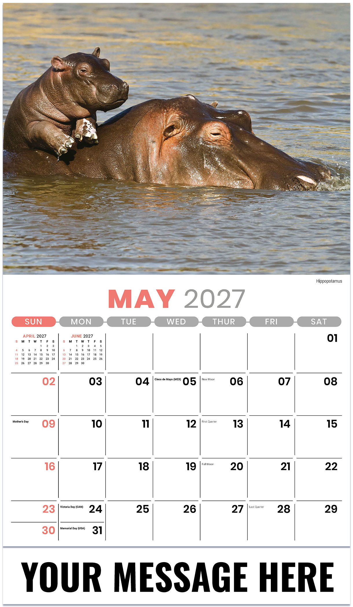 Galleria International Wildlife - 2027