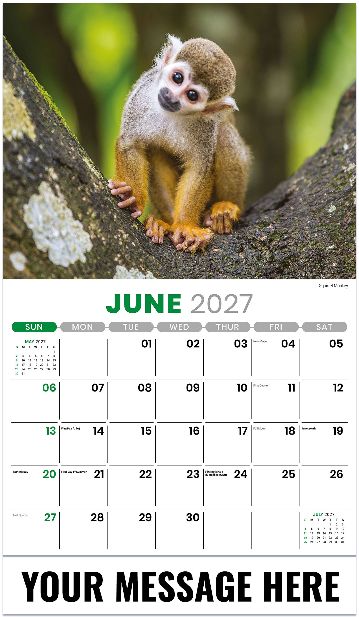 Galleria International Wildlife - 2027