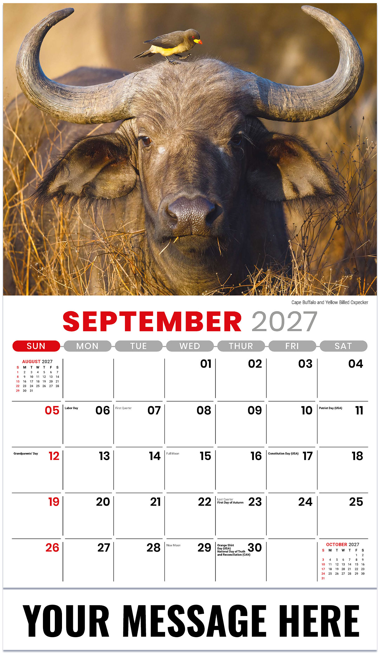 Galleria International Wildlife - 2027