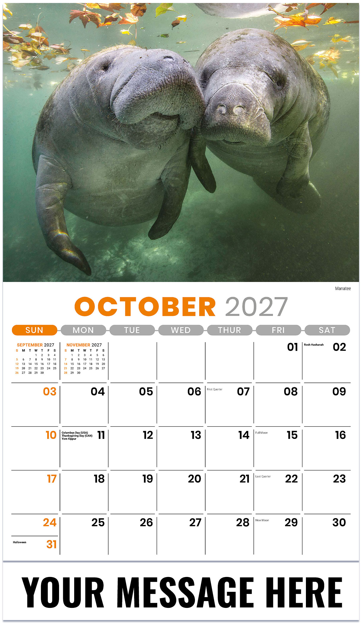 Galleria International Wildlife - 2027