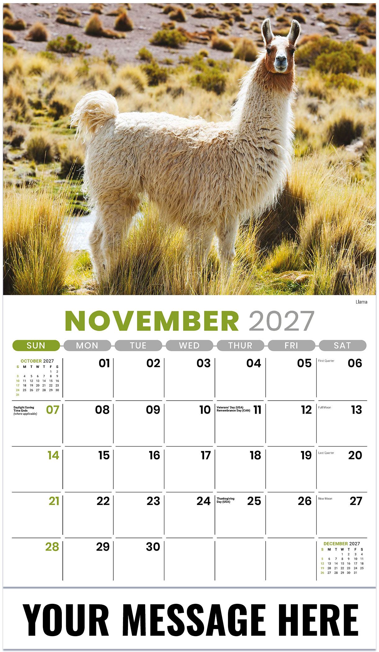 Galleria International Wildlife - 2027