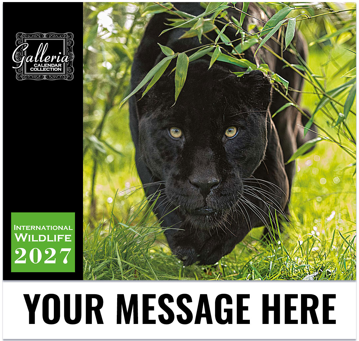 International Wildlife Wall Calendar