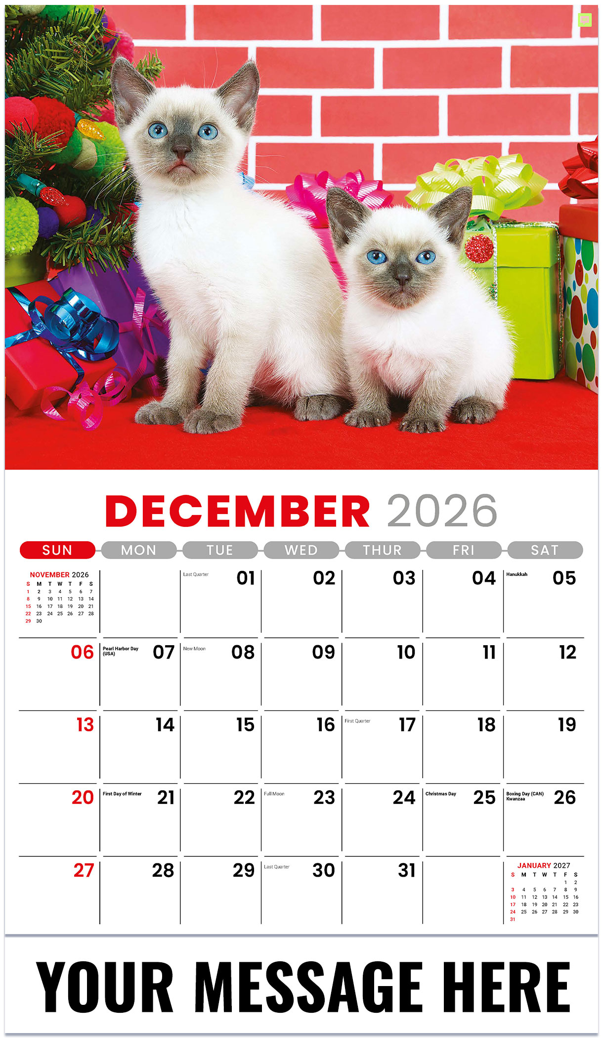 Galleria Kittens - 2027