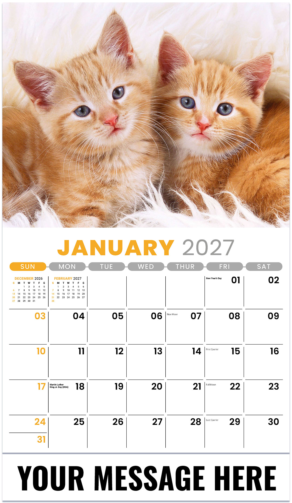 Galleria Kittens - 2027