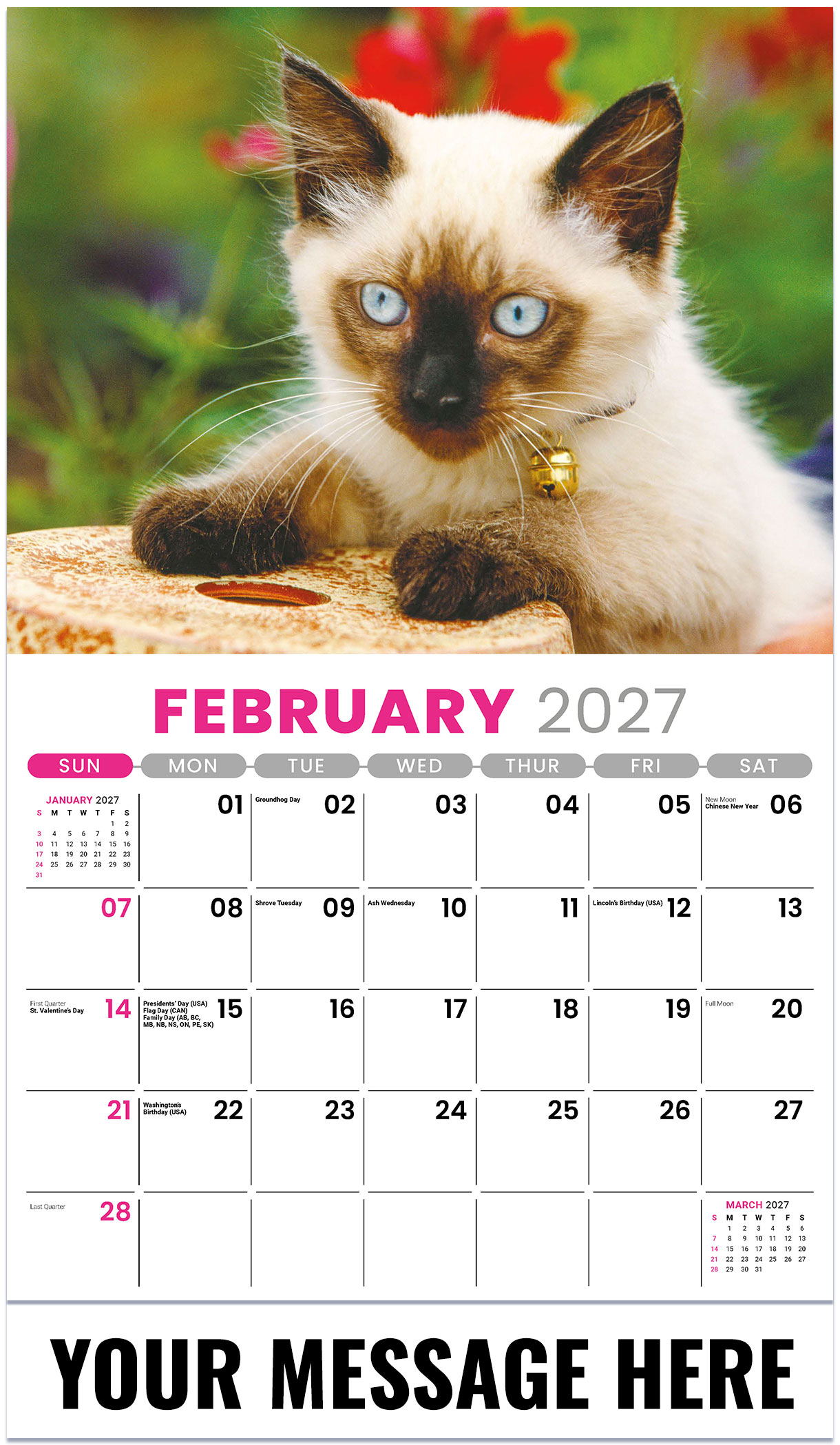 Galleria Kittens - 2027
