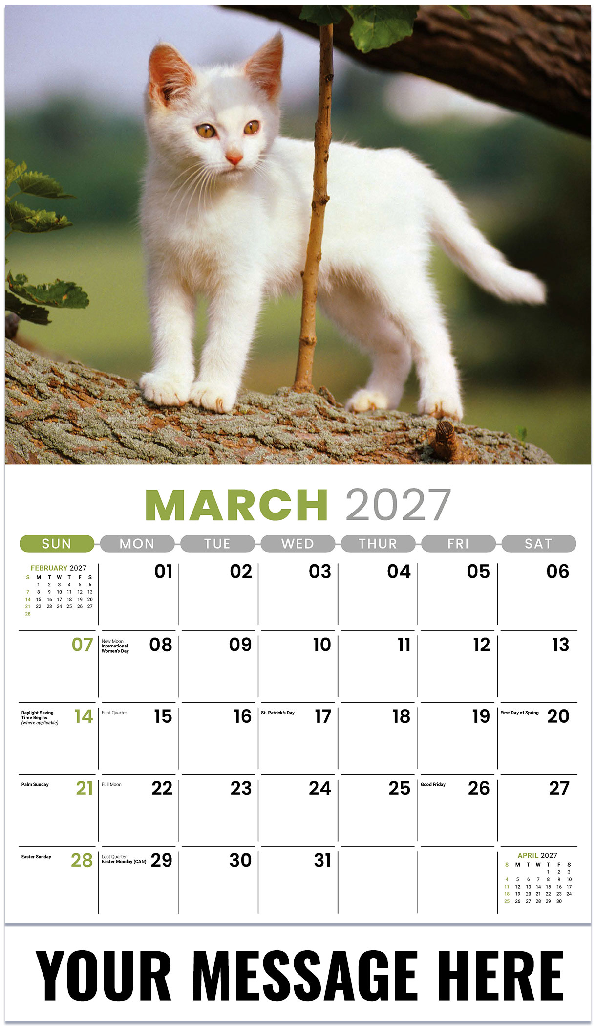 Galleria Kittens - 2027