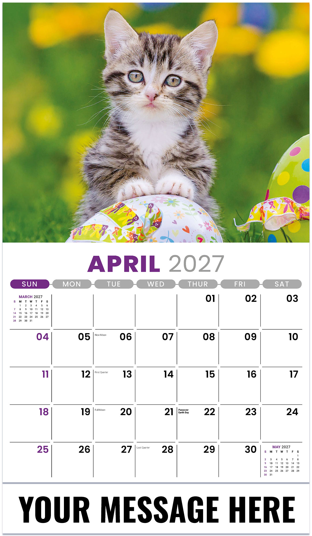 Galleria Kittens - 2027