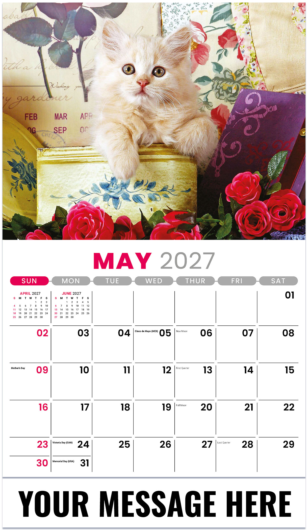 Galleria Kittens - 2027