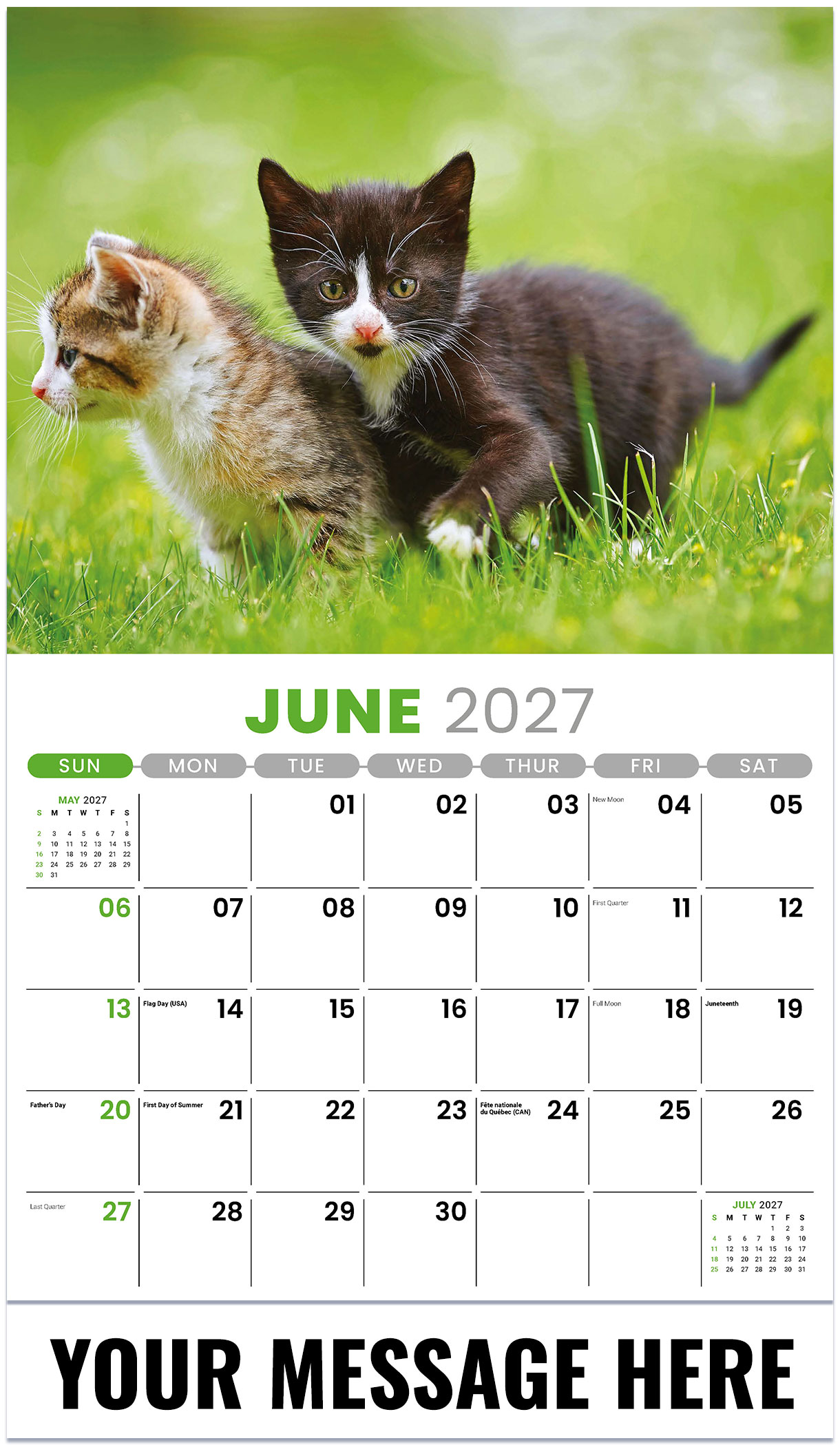 Galleria Kittens - 2027