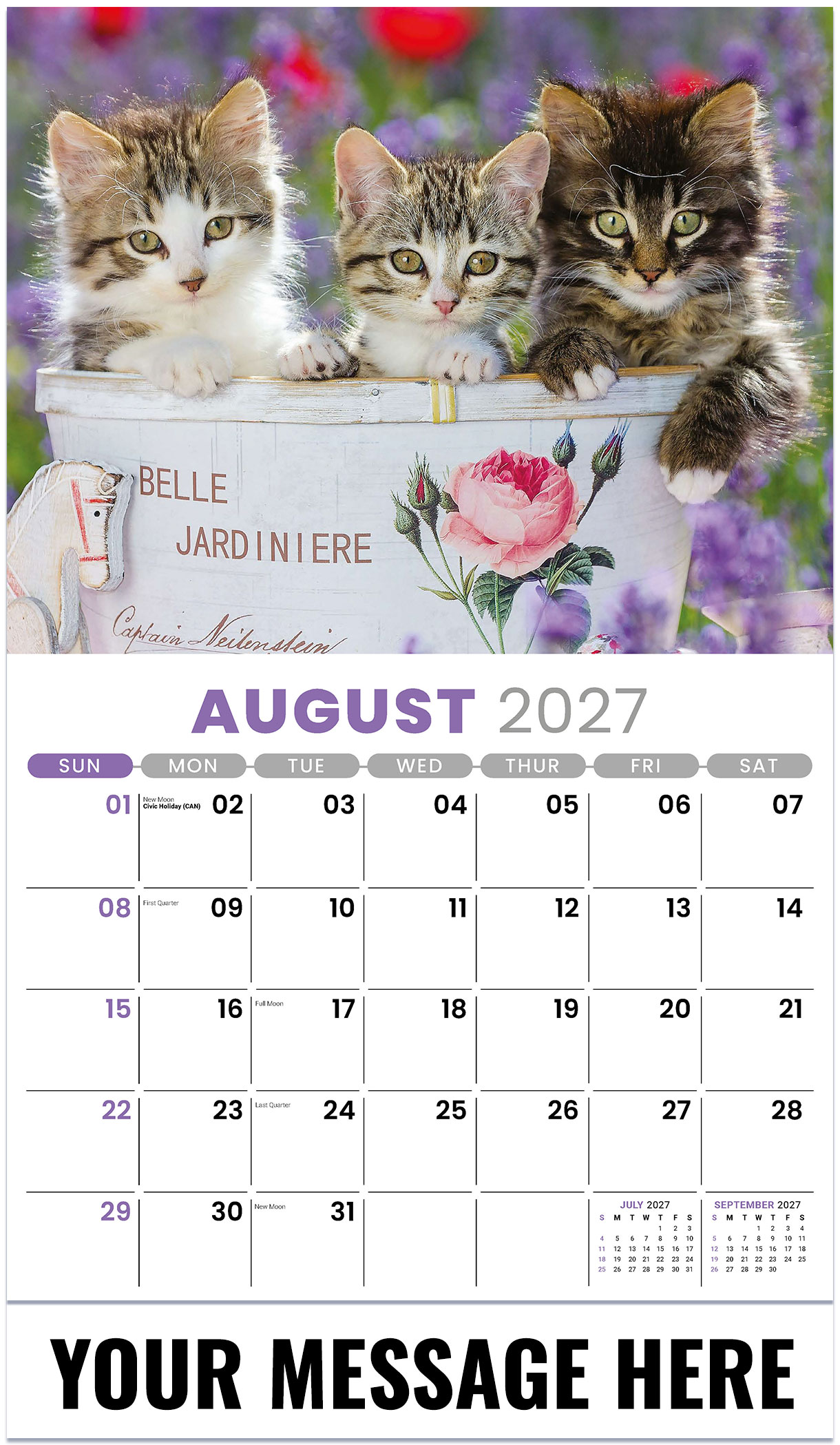 Galleria Kittens - 2027