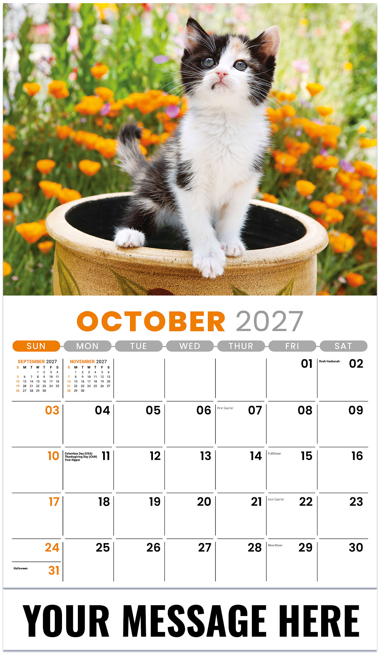 Galleria Kittens - 2027