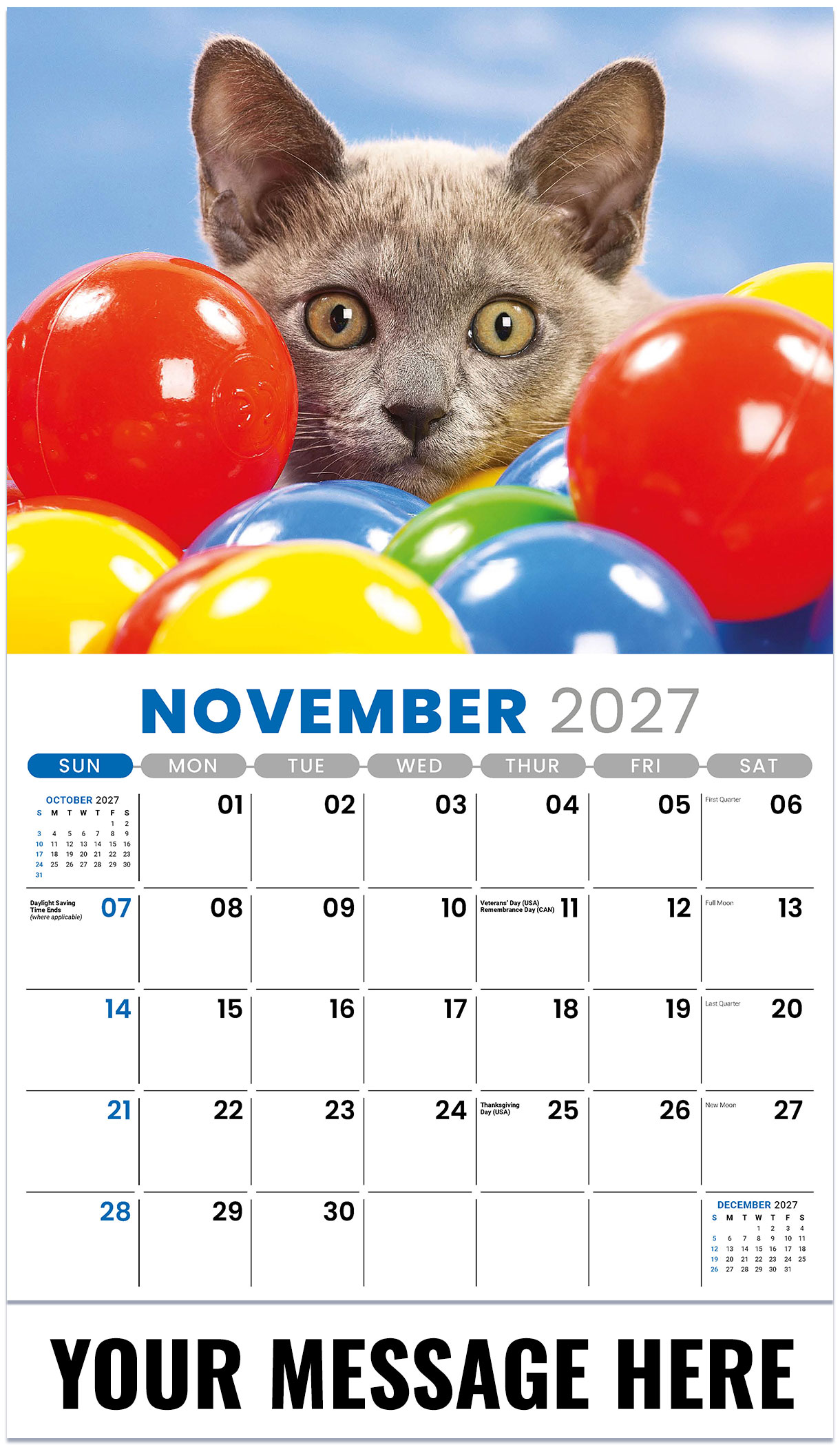 Galleria Kittens - 2027