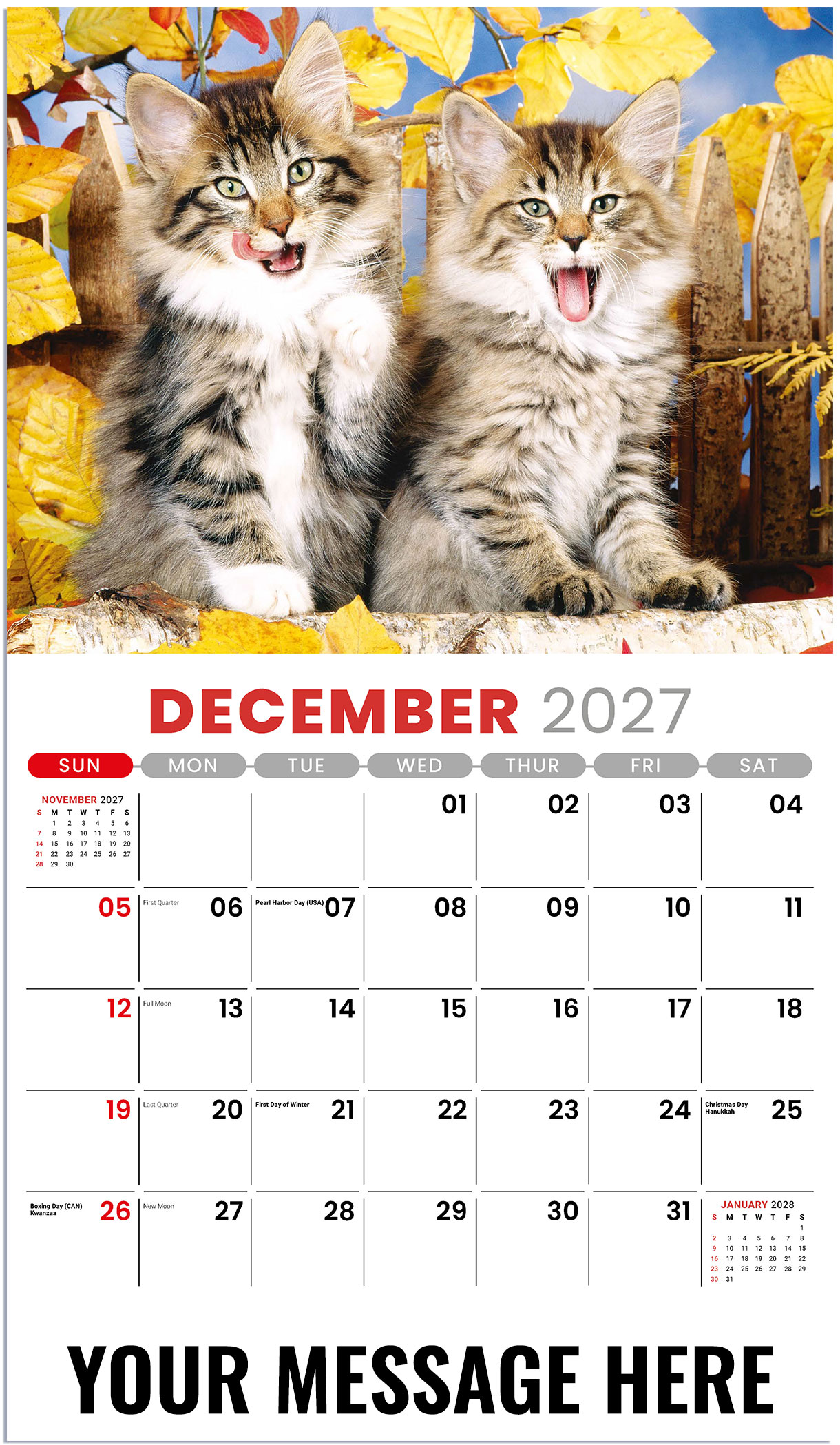 Galleria Kittens - 2027