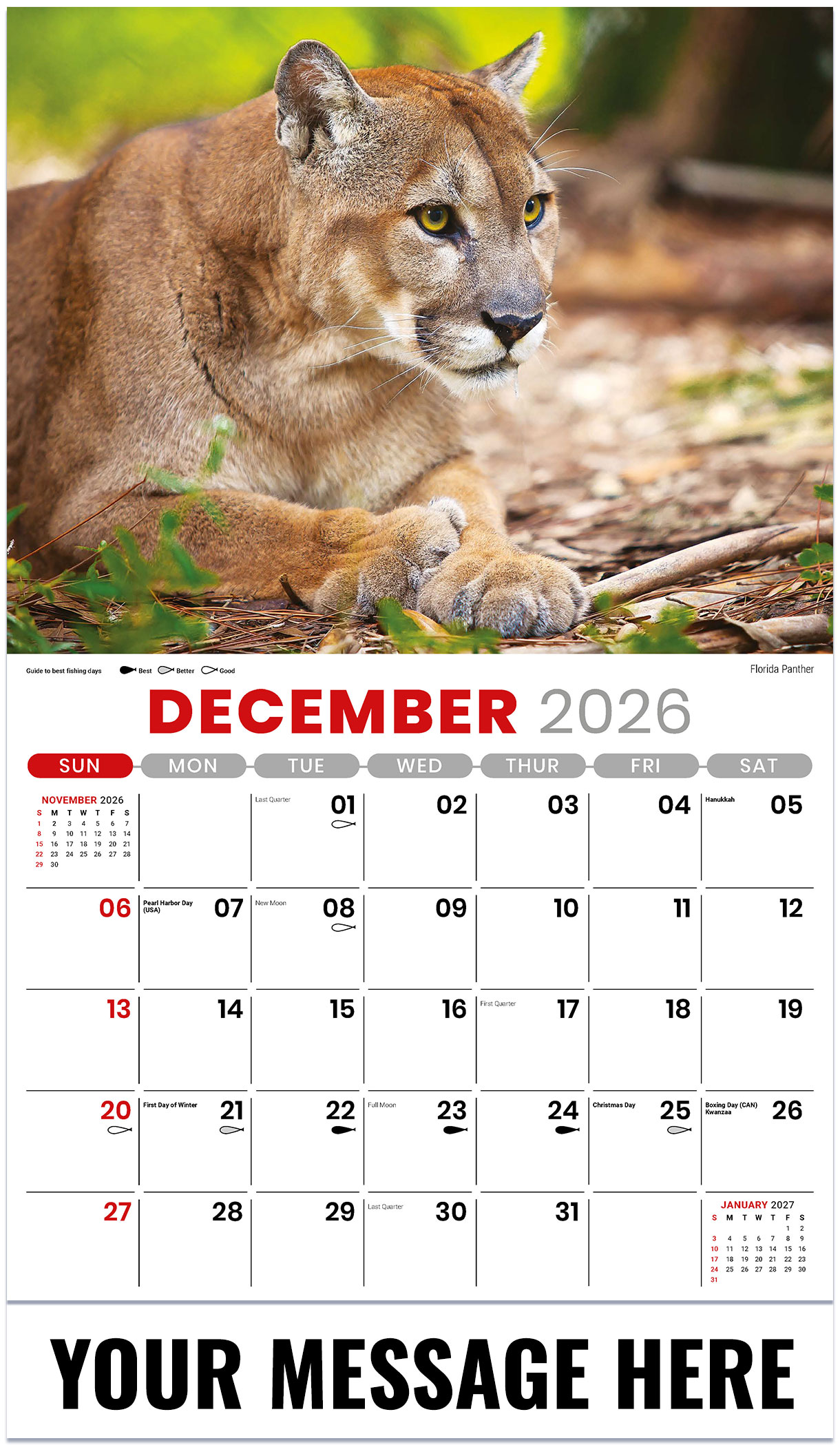 Galleria North American Wildlife - 2027