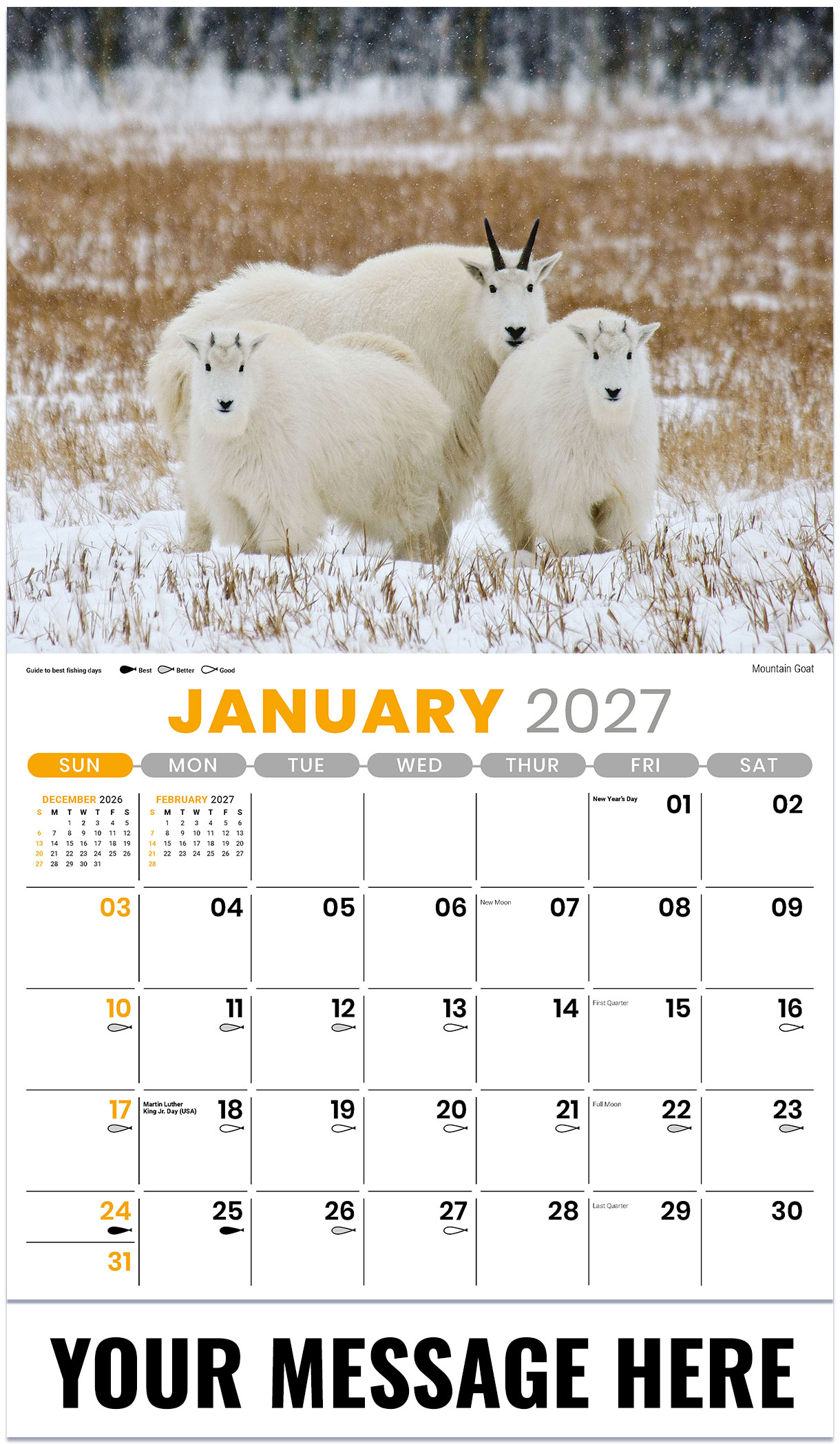 Galleria North American Wildlife - 2027