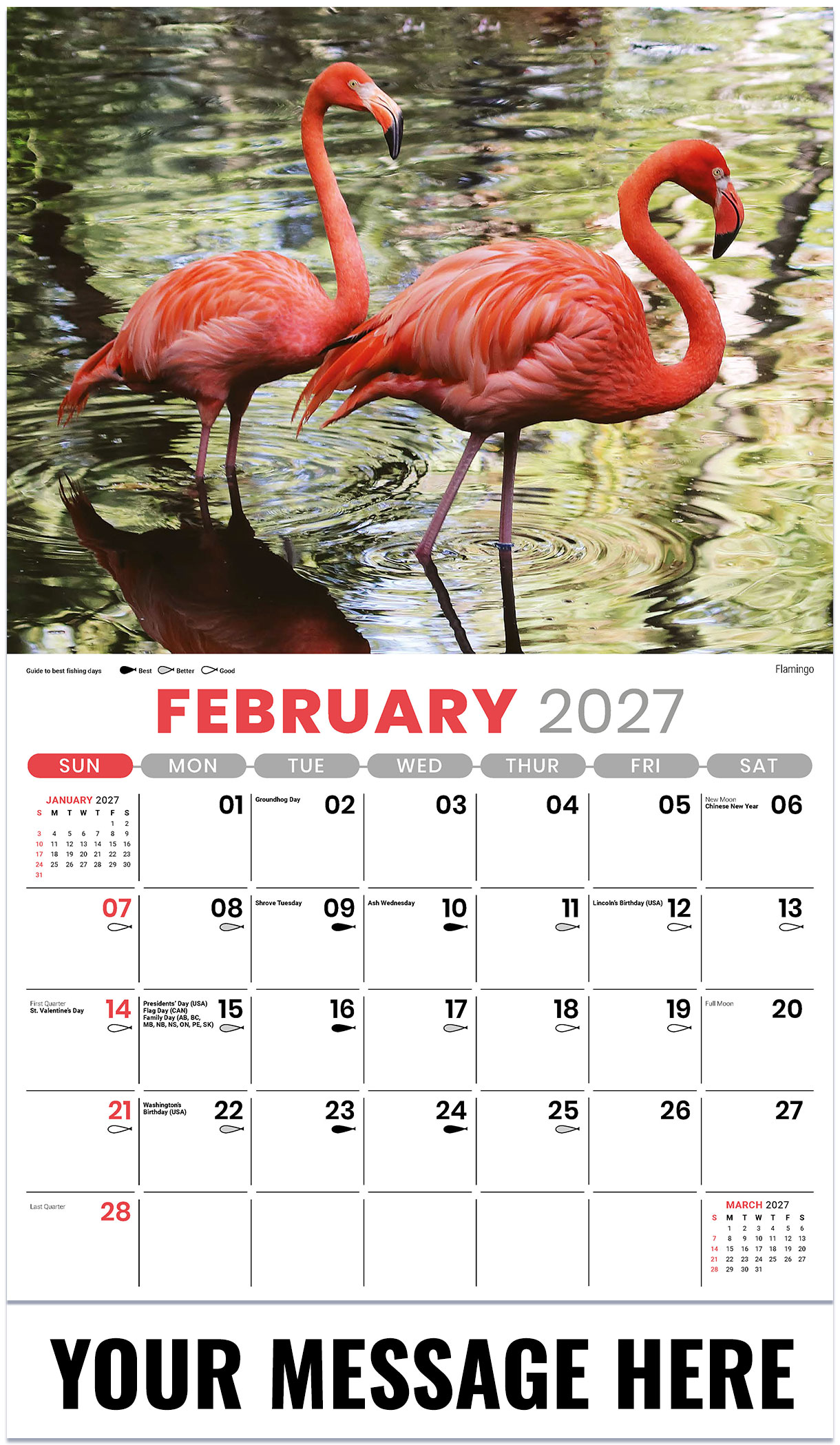 Galleria North American Wildlife - 2027