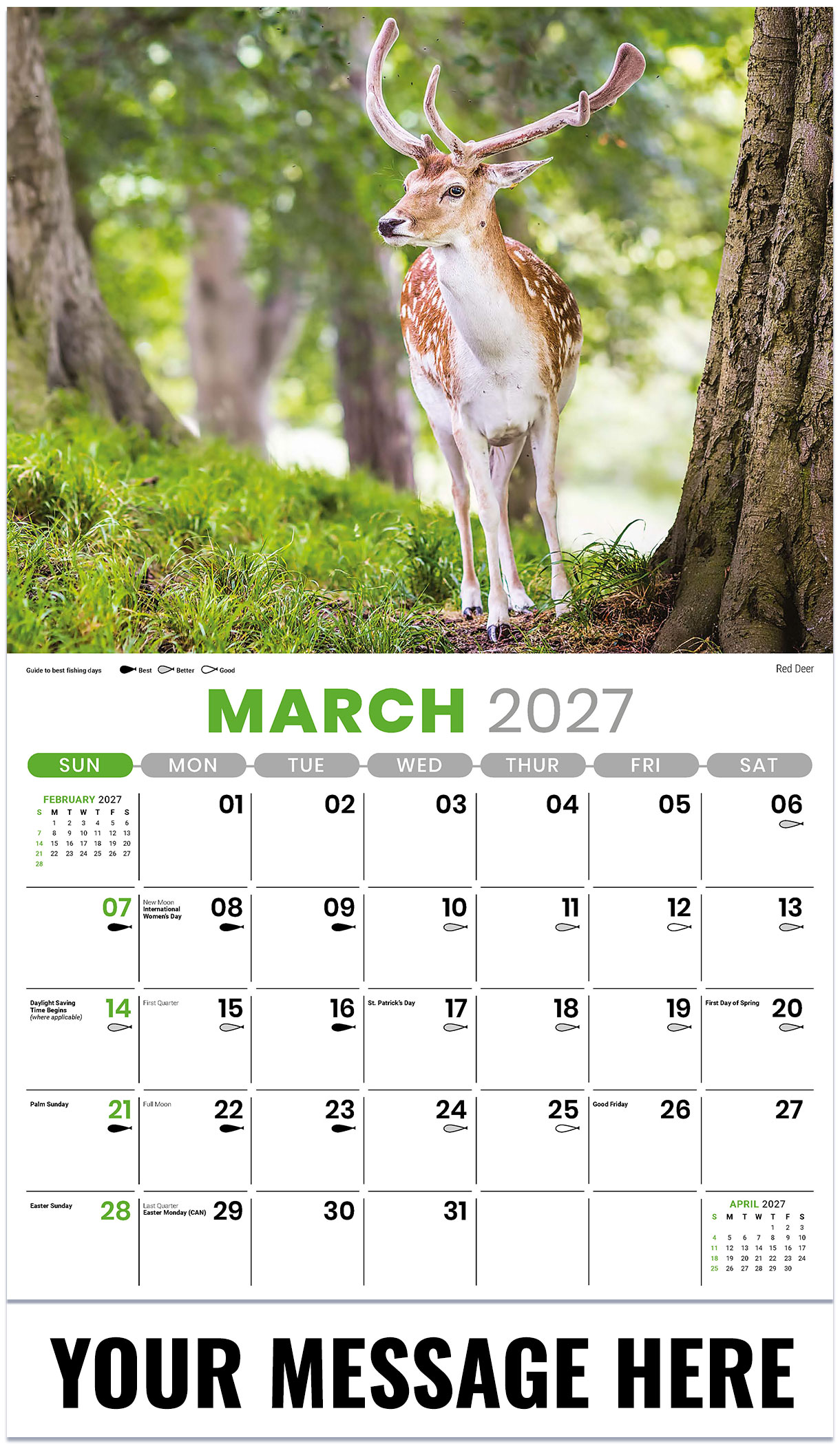 Galleria North American Wildlife - 2027