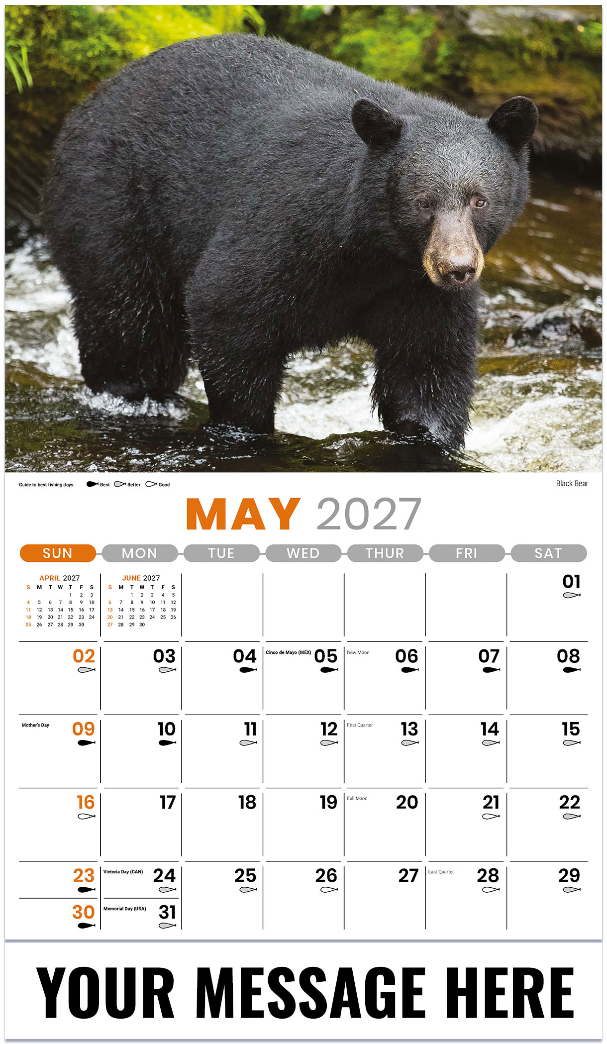 Galleria North American Wildlife - 2027