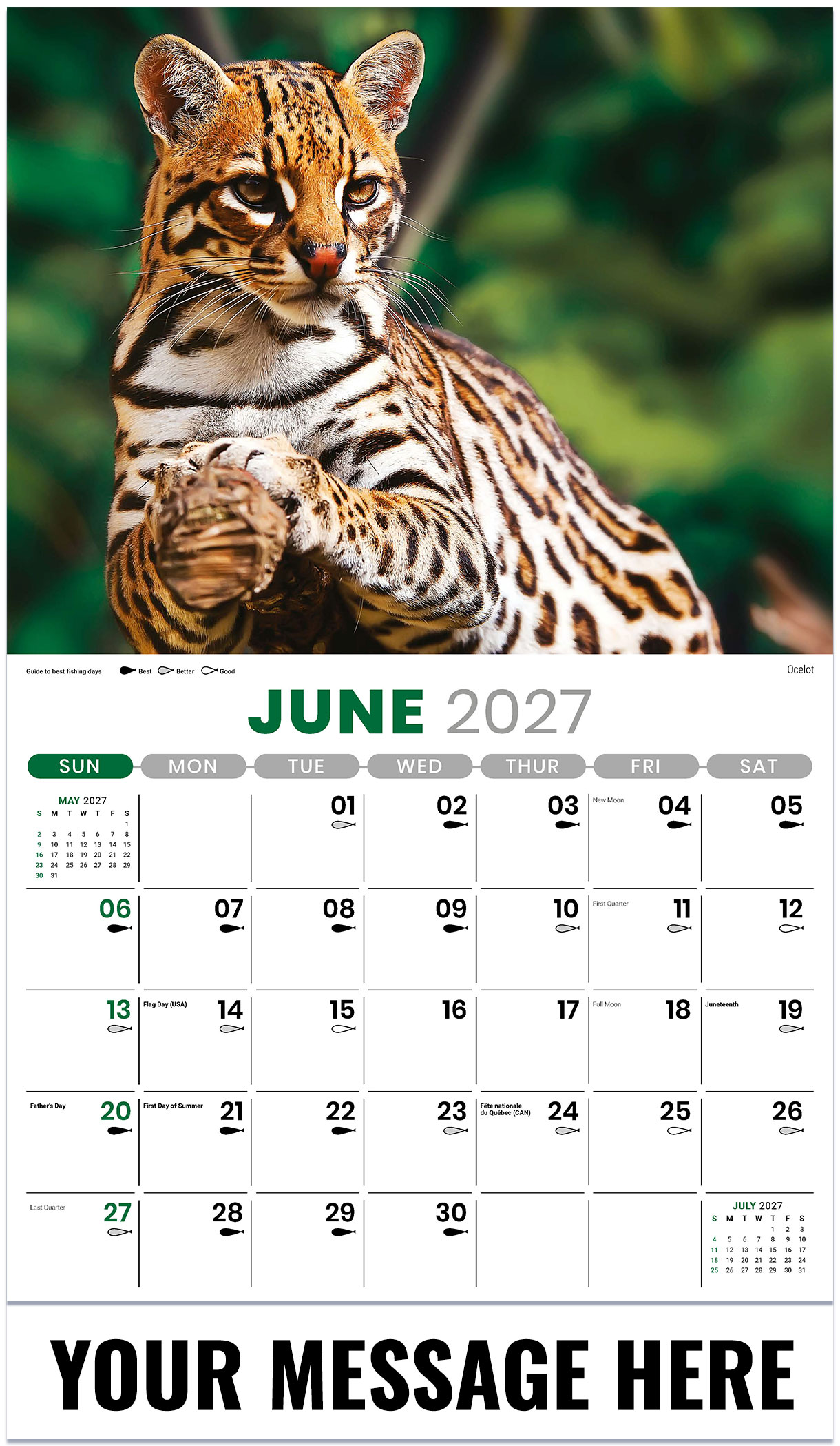 Galleria North American Wildlife - 2027