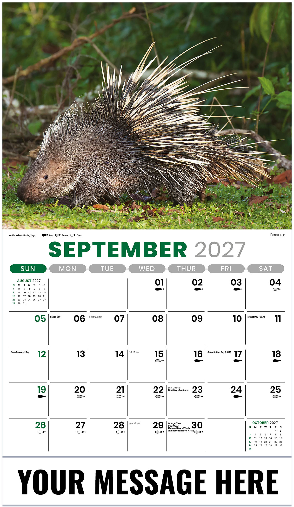 Galleria North American Wildlife - 2027
