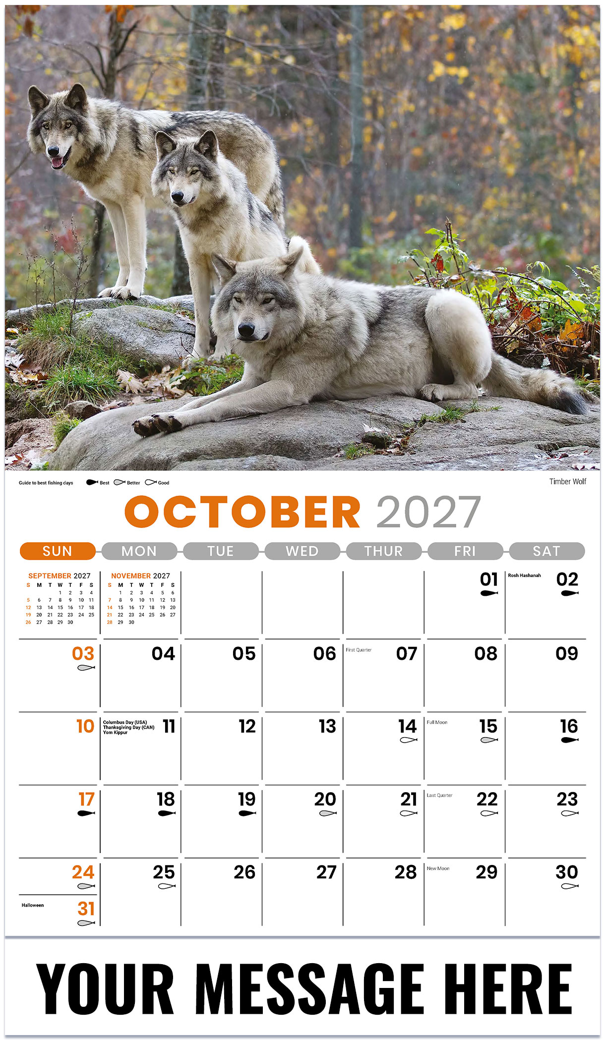 Galleria North American Wildlife - 2027