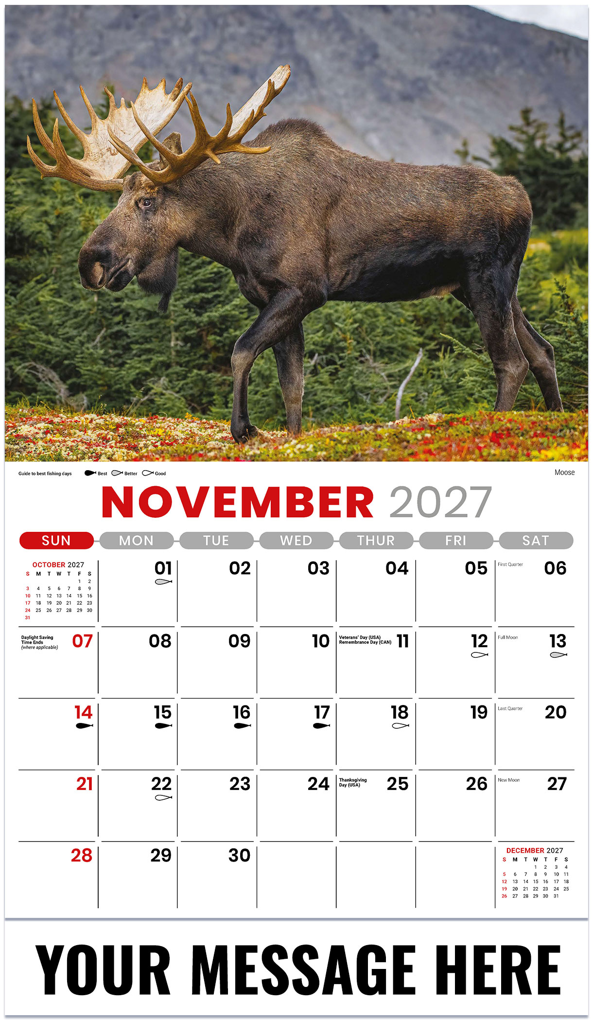 Galleria North American Wildlife - 2027