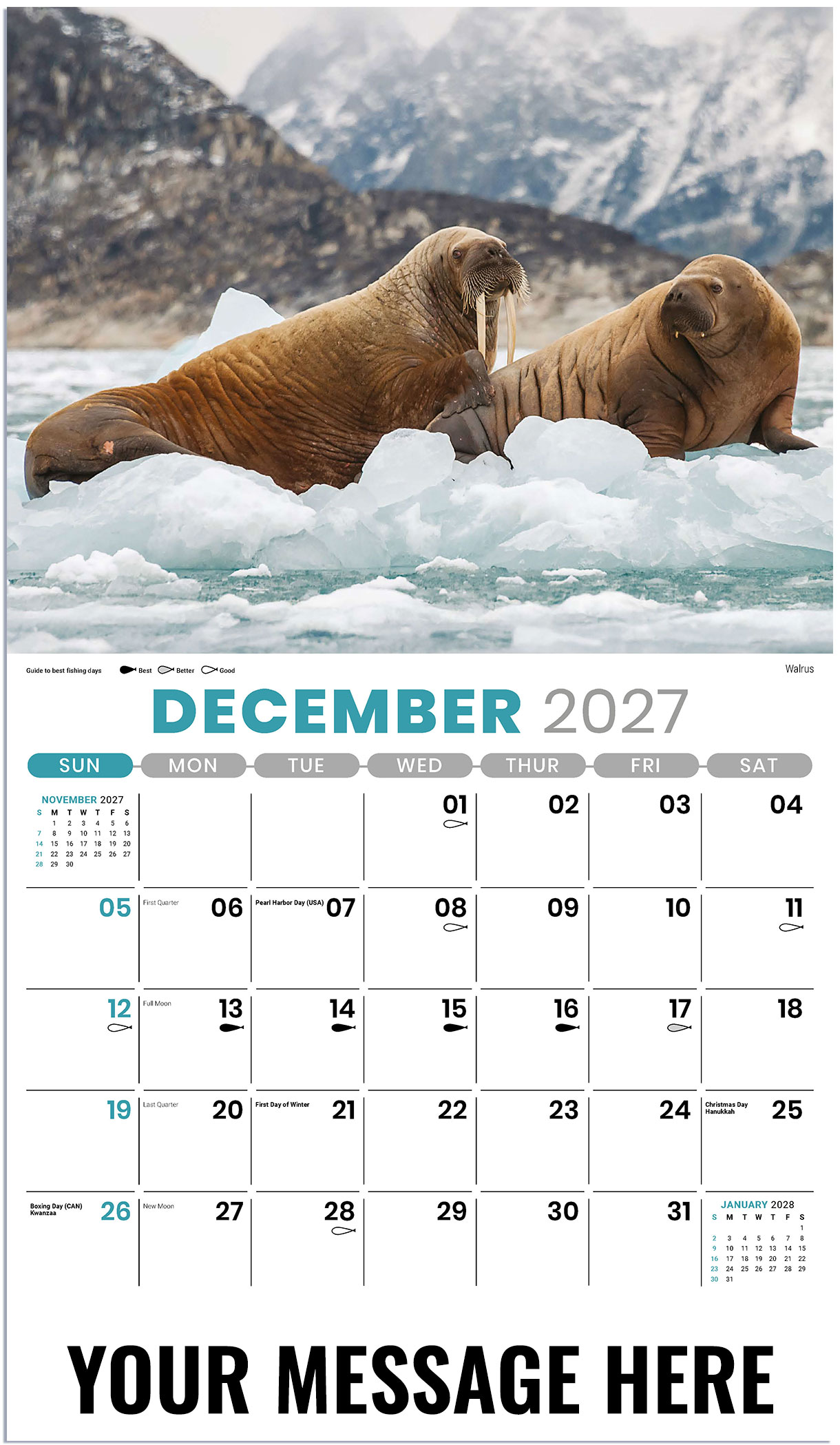 Galleria North American Wildlife - 2027