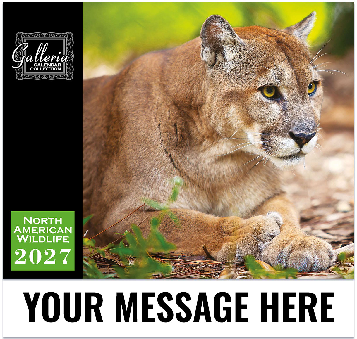 North American Wildlife Wall Calendar